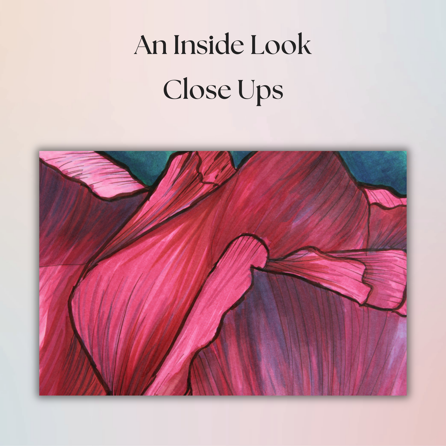 Inside Look Flower Drawing - 8" x 10" Original Marker Artwork