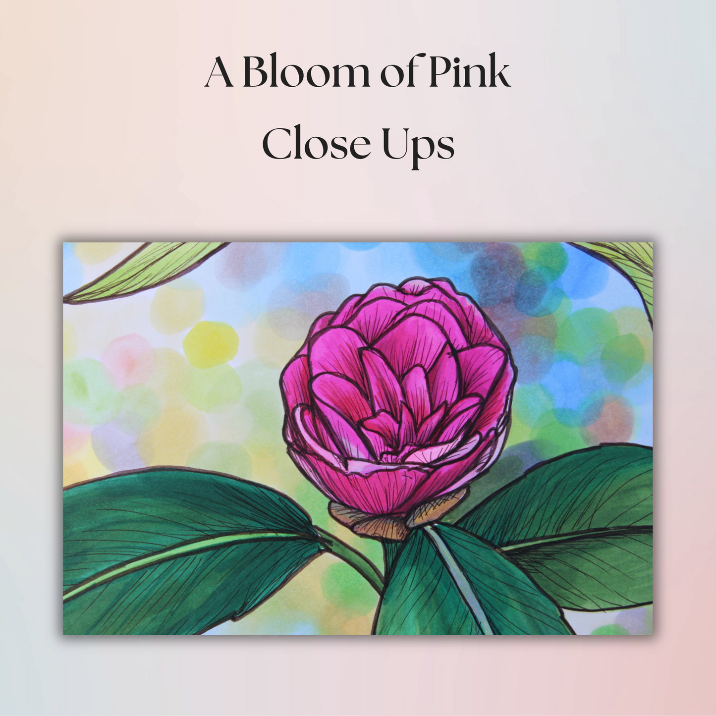 A Bloom of Pink - Flower Drawing - 8" x 10" Original Marker Artwork