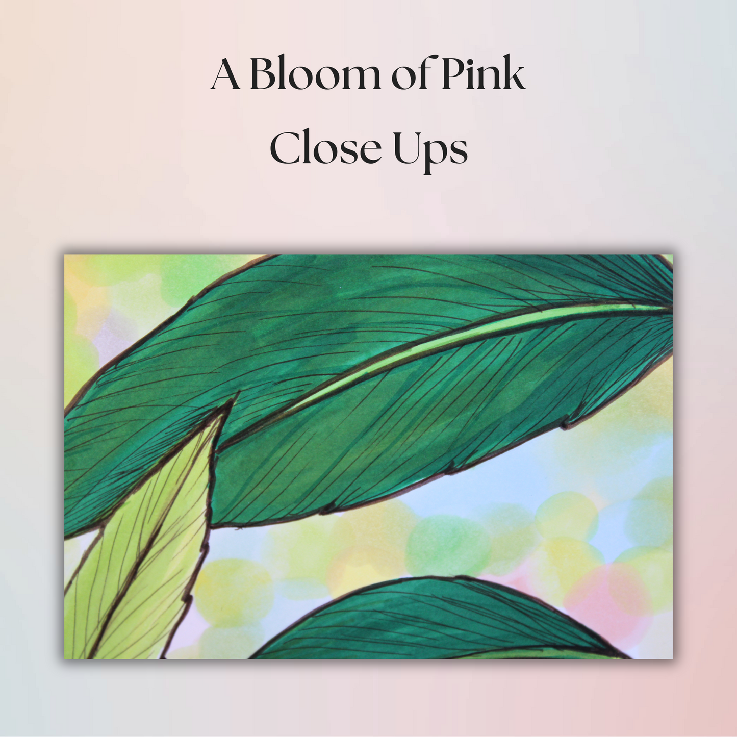 A Bloom of Pink - Flower Drawing - 8" x 10" Original Marker Artwork