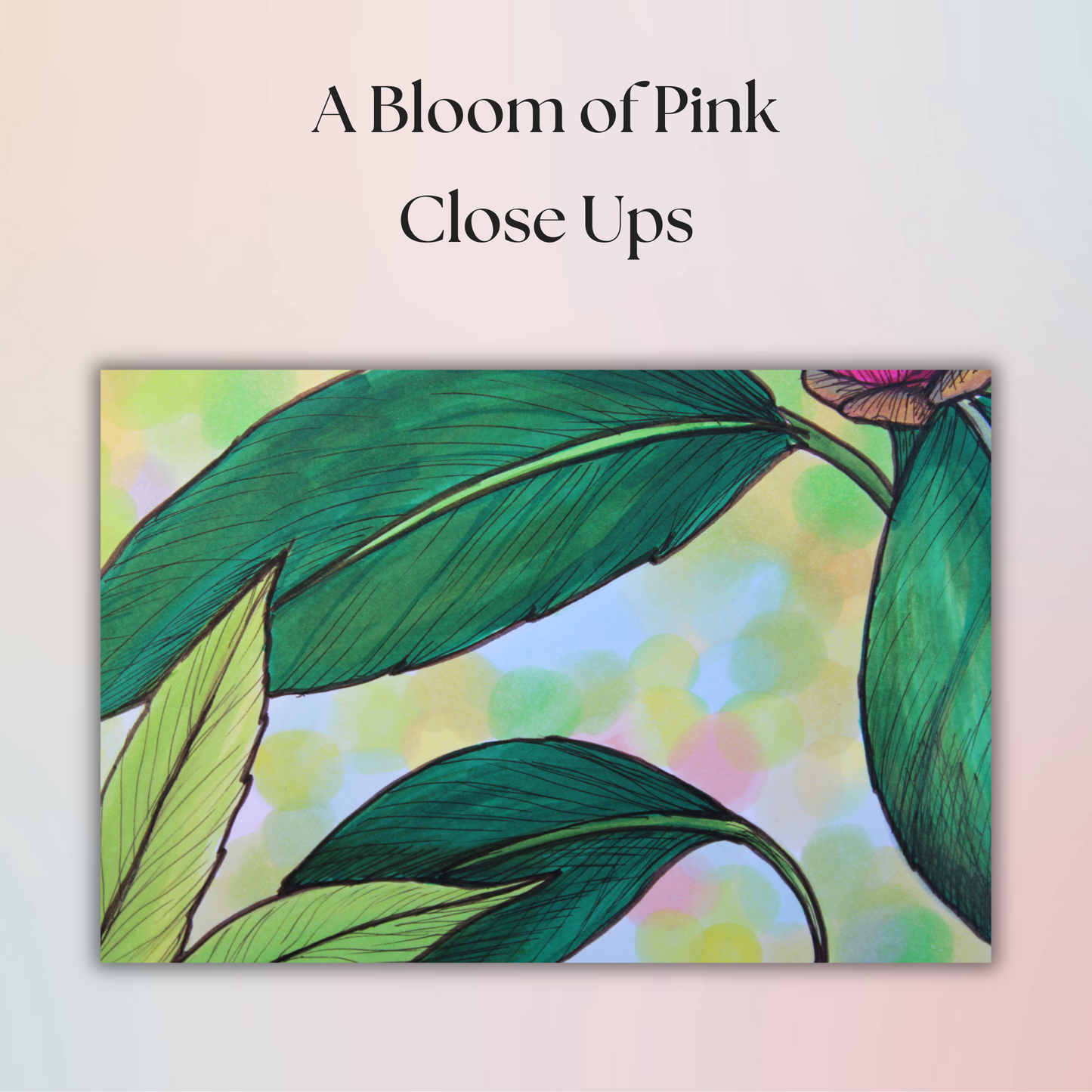 A Bloom of Pink - Flower Drawing - 8" x 10" Original Marker Artwork