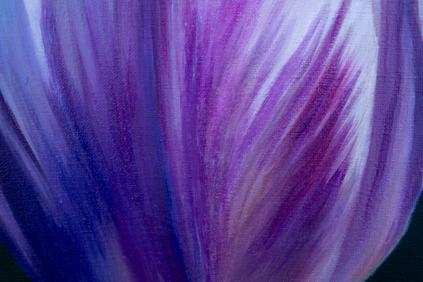 Tulip in Focus - 16" x 20" Original Canvas Oil Painting of a Purple Tulip
