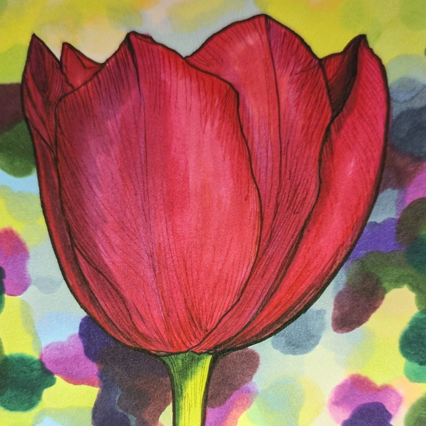 Red Solo Tulip Print - 4" x 6" Marker Drawing Print