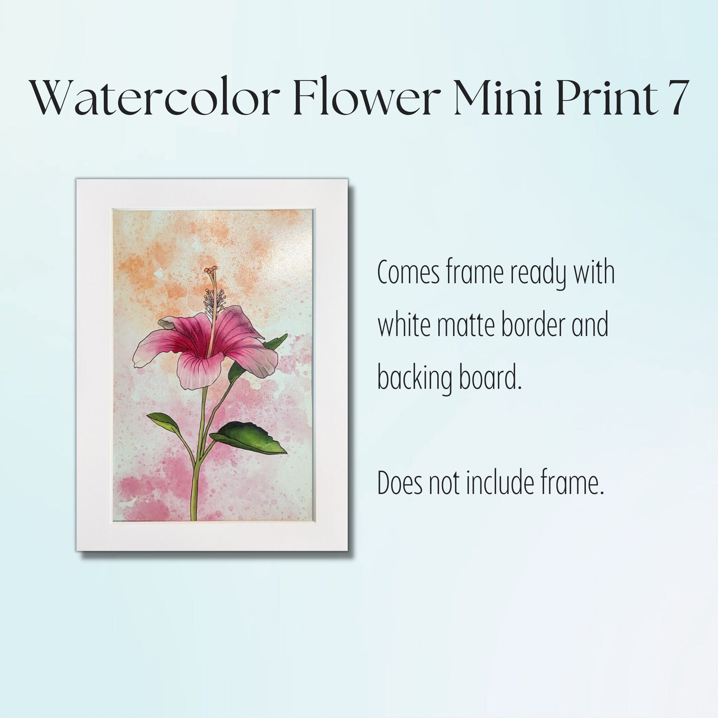 Pink Hibiscus Painting - 4" x 6" Watercolor Flower Print