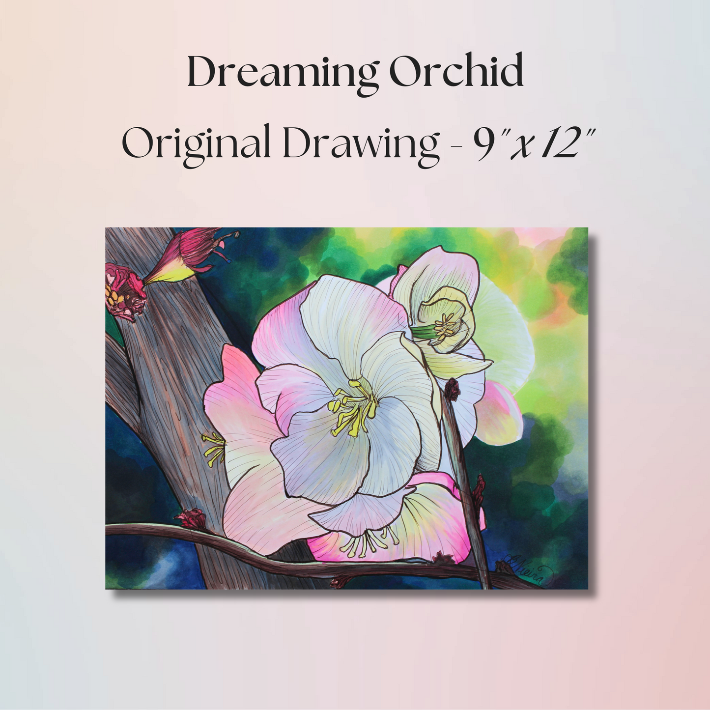 Dreaming Orchid Drawing - 9" x 12" Original Marker Artwork