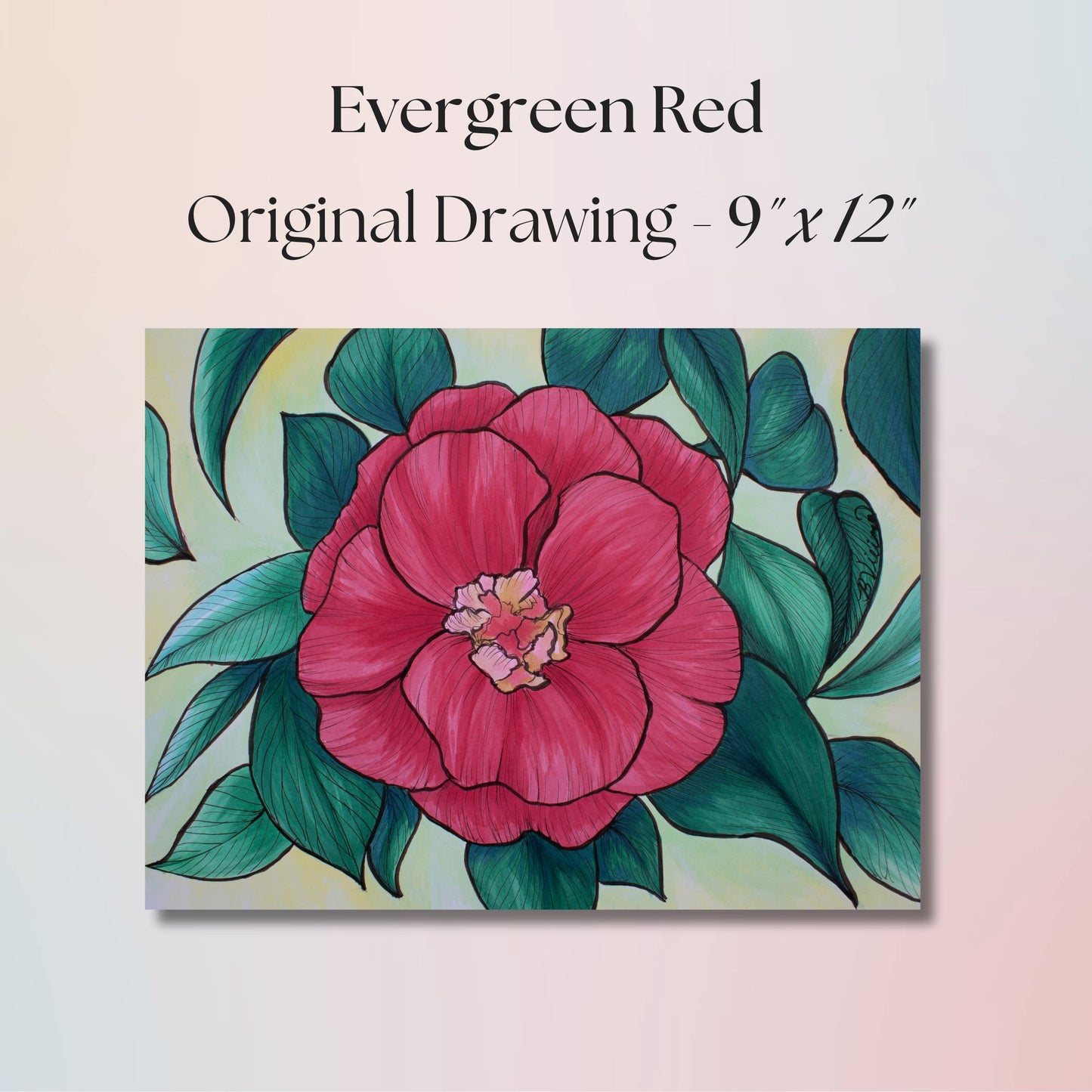 Original drawing of a reddish pink flower with green leaves on a beige background, labeled 'Evergreen Red'.