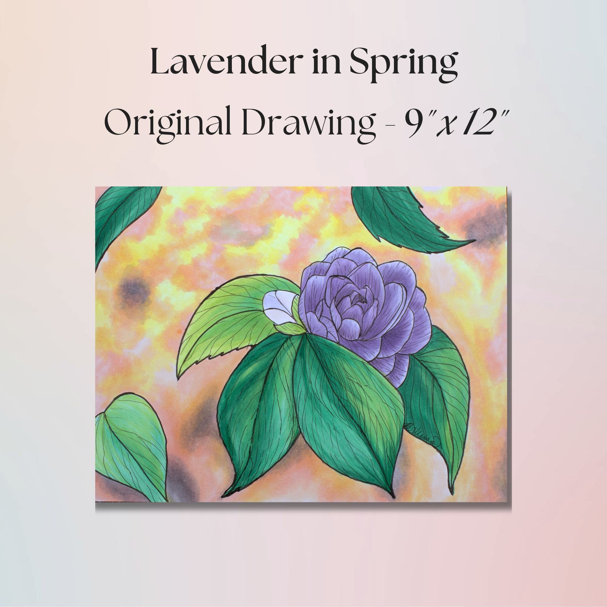 Original drawing of a lavender flower with green leaves on a colorful background, titled 'Lavender in Spring'.