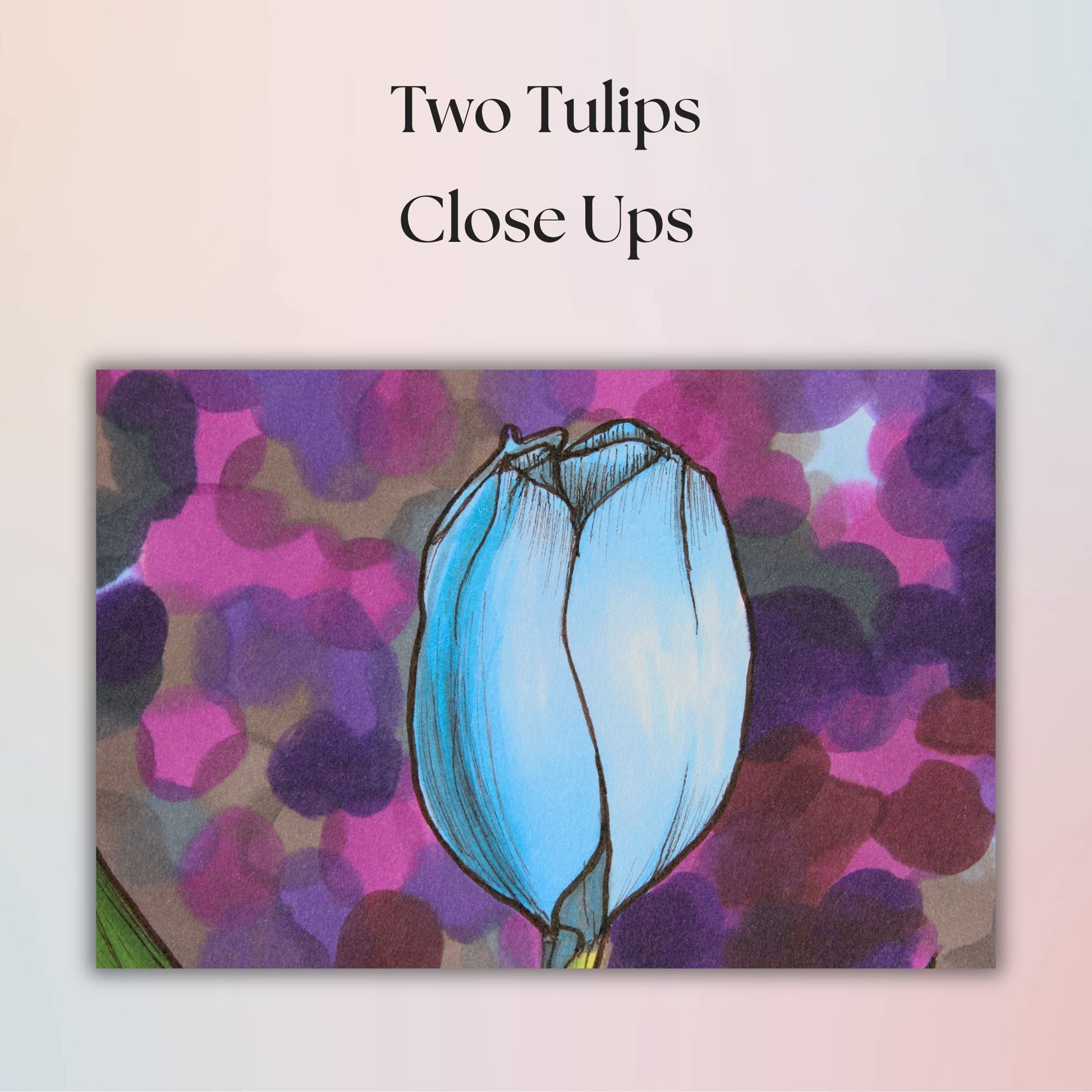 Stylized illustration close up of two tulips with a colorful abstract background