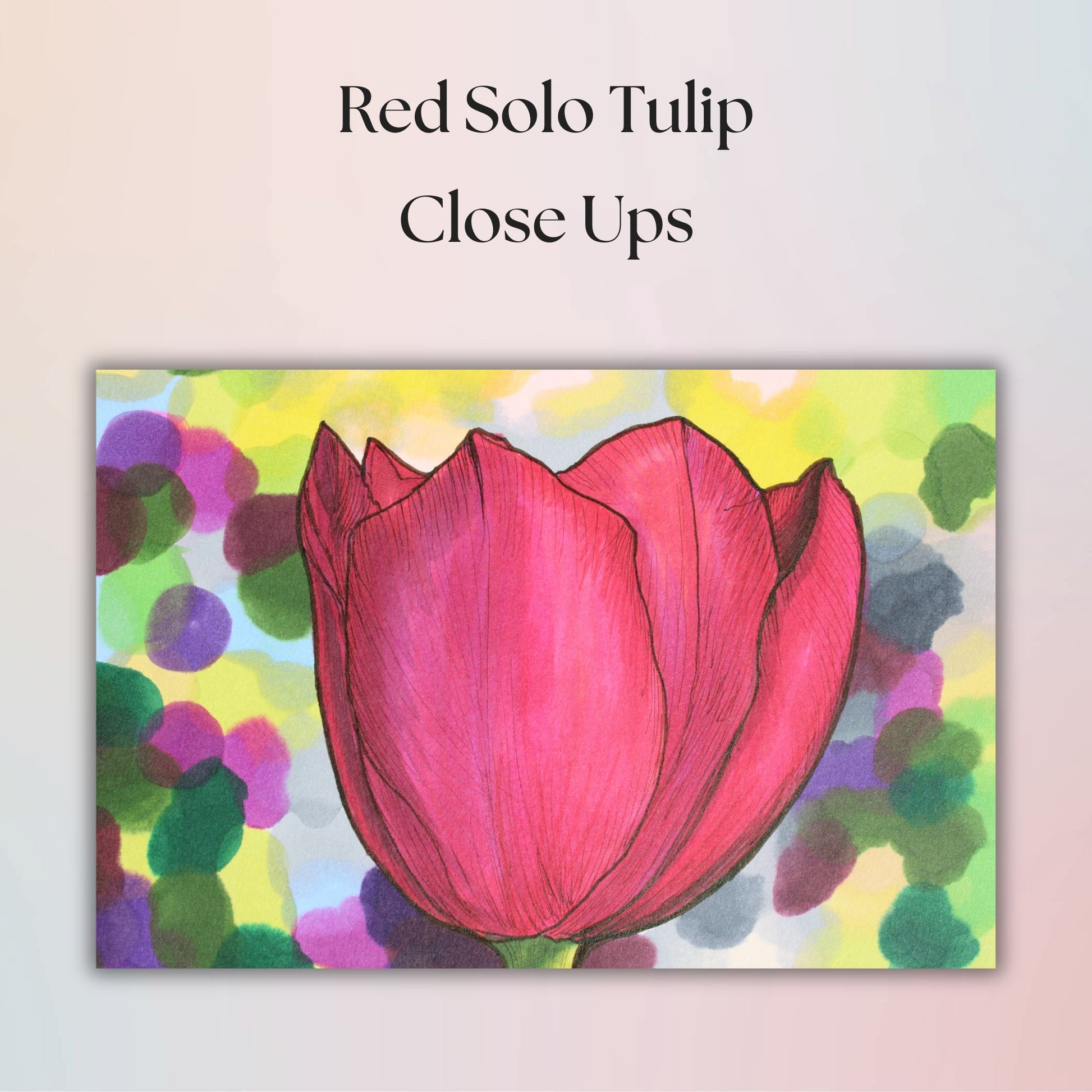 Red tulip illustration with colorful abstract background