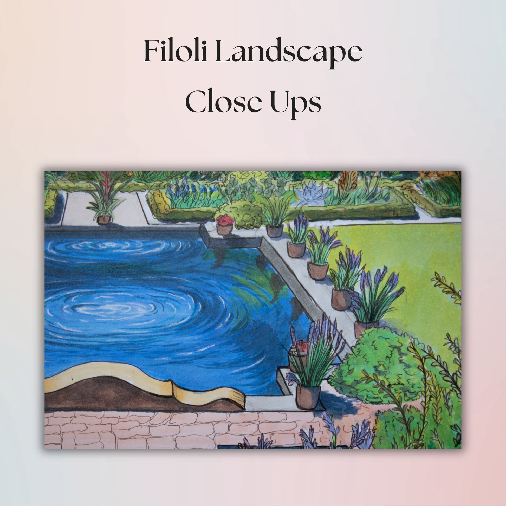 Illustration of a garden with a pond and plants, labeled 'Filoli Landscape Close Ups'.