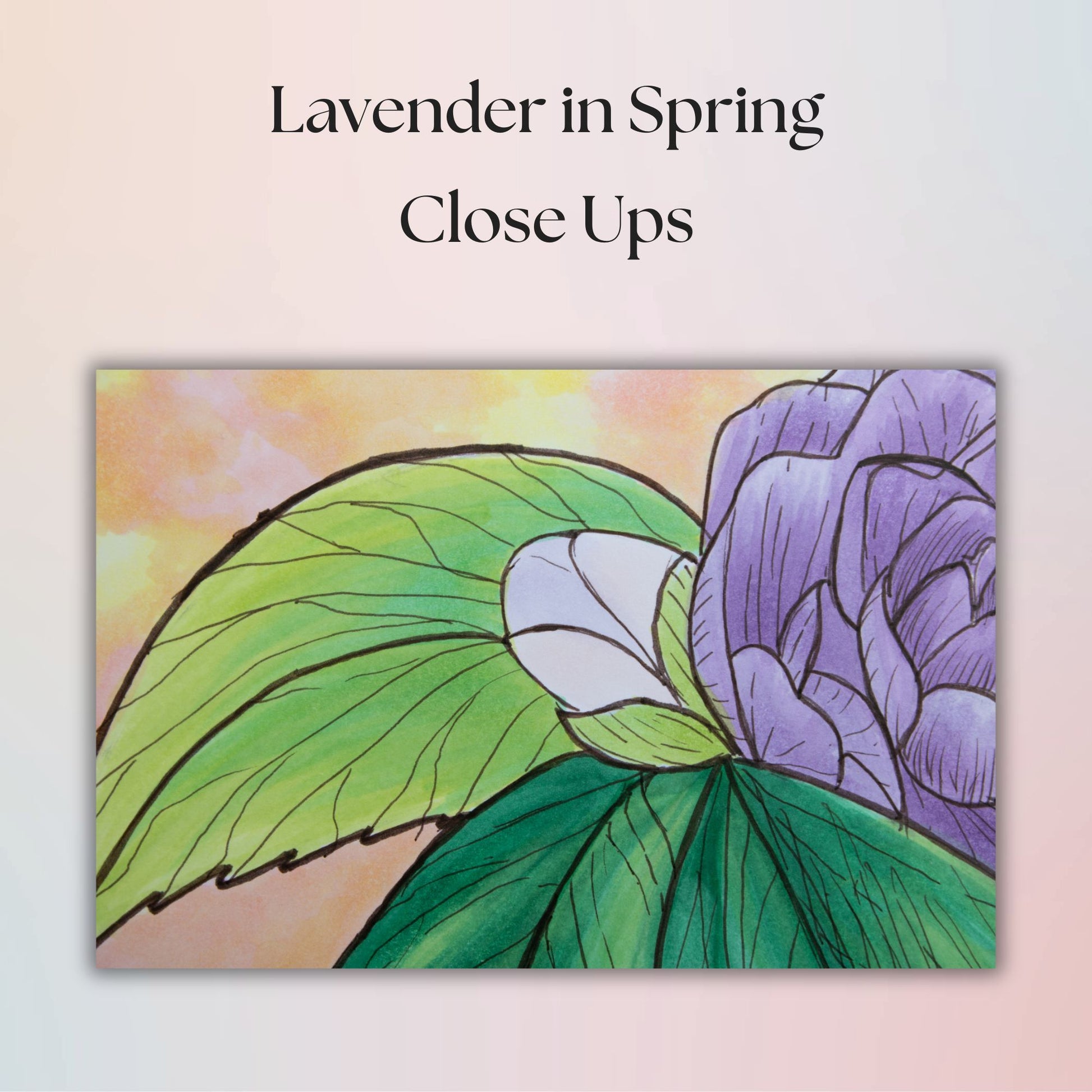 Illustration of a lavender flower with green leaves on a pastel background, titled 'Lavender in Spring Close Ups'.