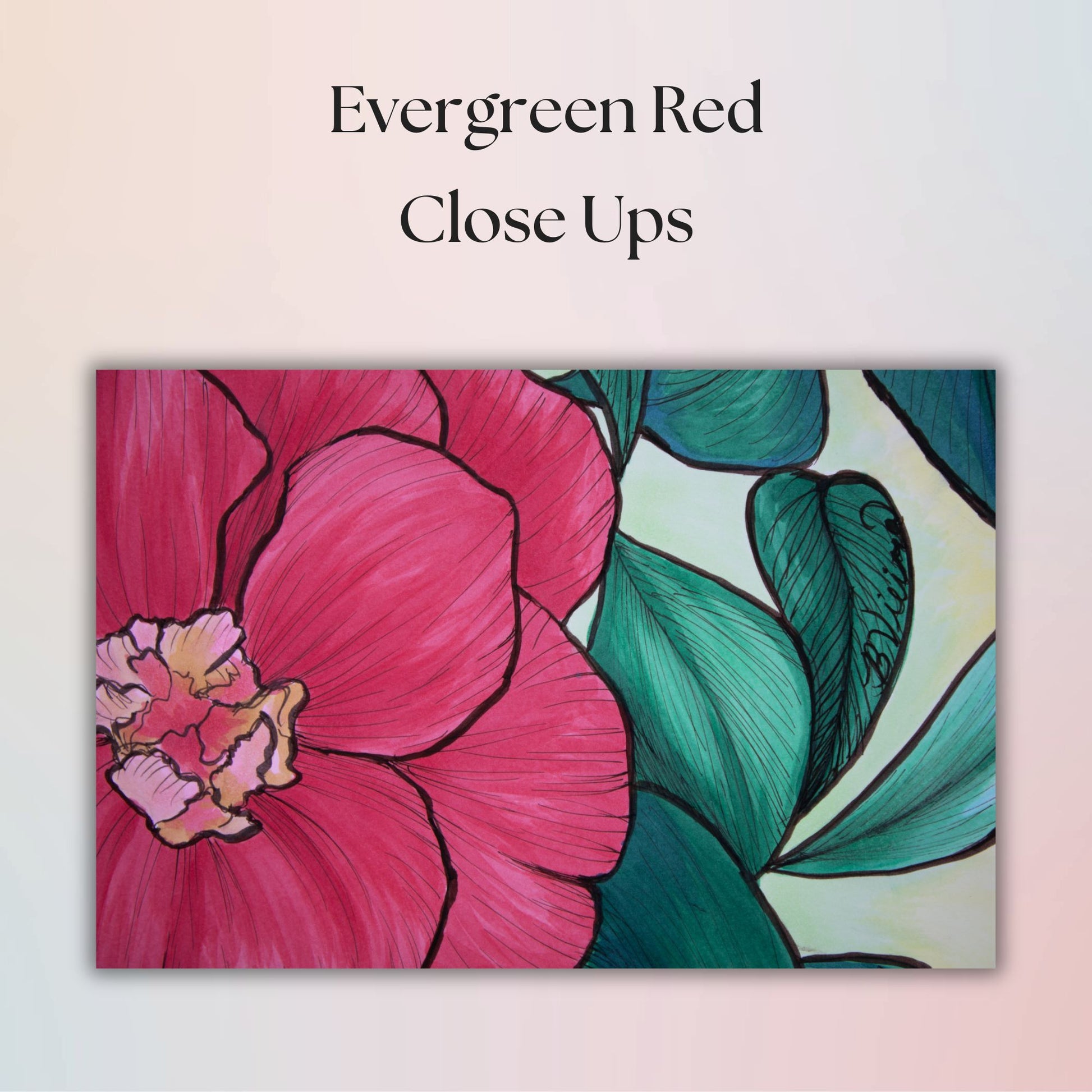 Close-up of a reddish pink flower and green leaves with 'Evergreen Red Close Ups' text on a light background.