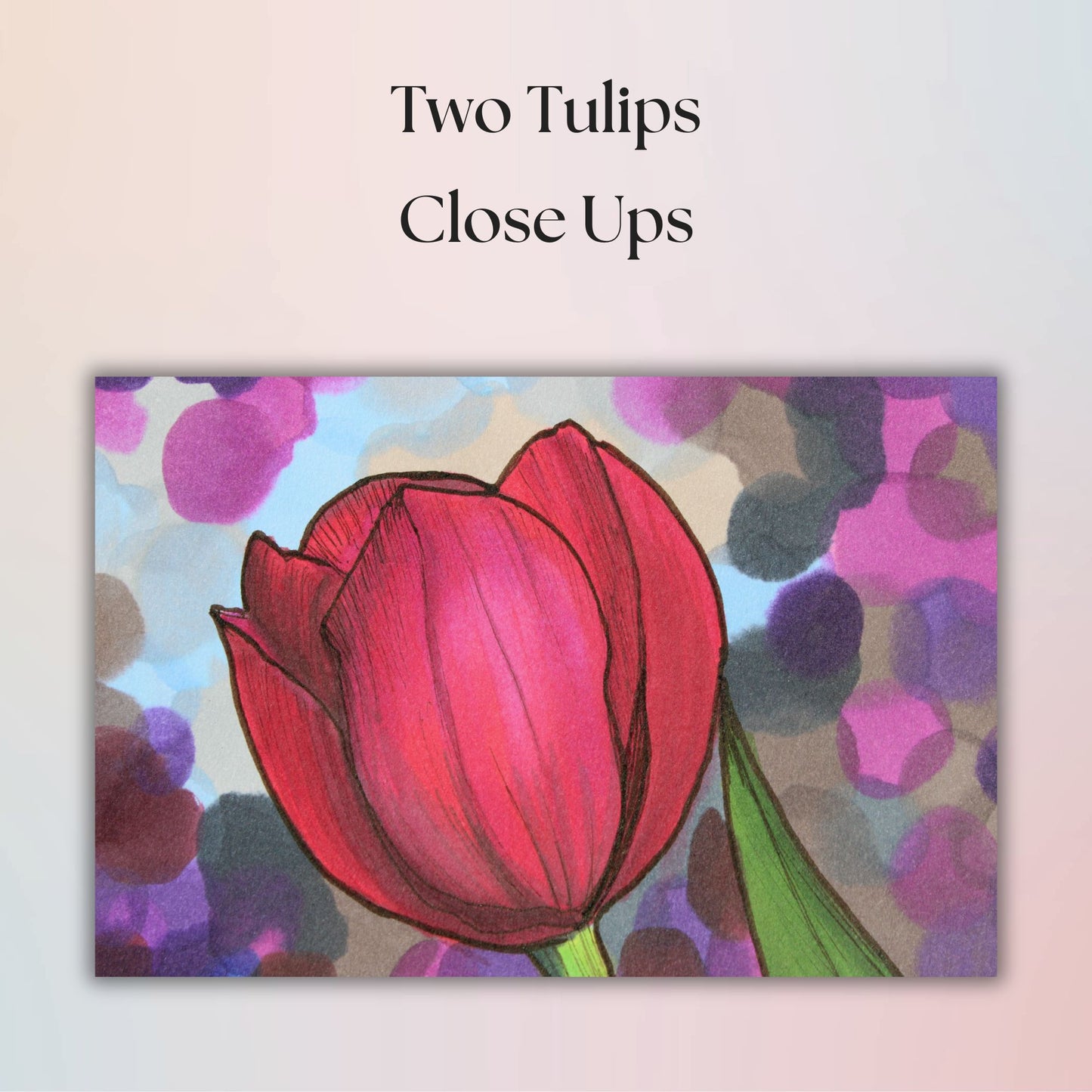 Close-up of a red tulip with a colorful abstract background and text 'Two Tulips Close Ups'.