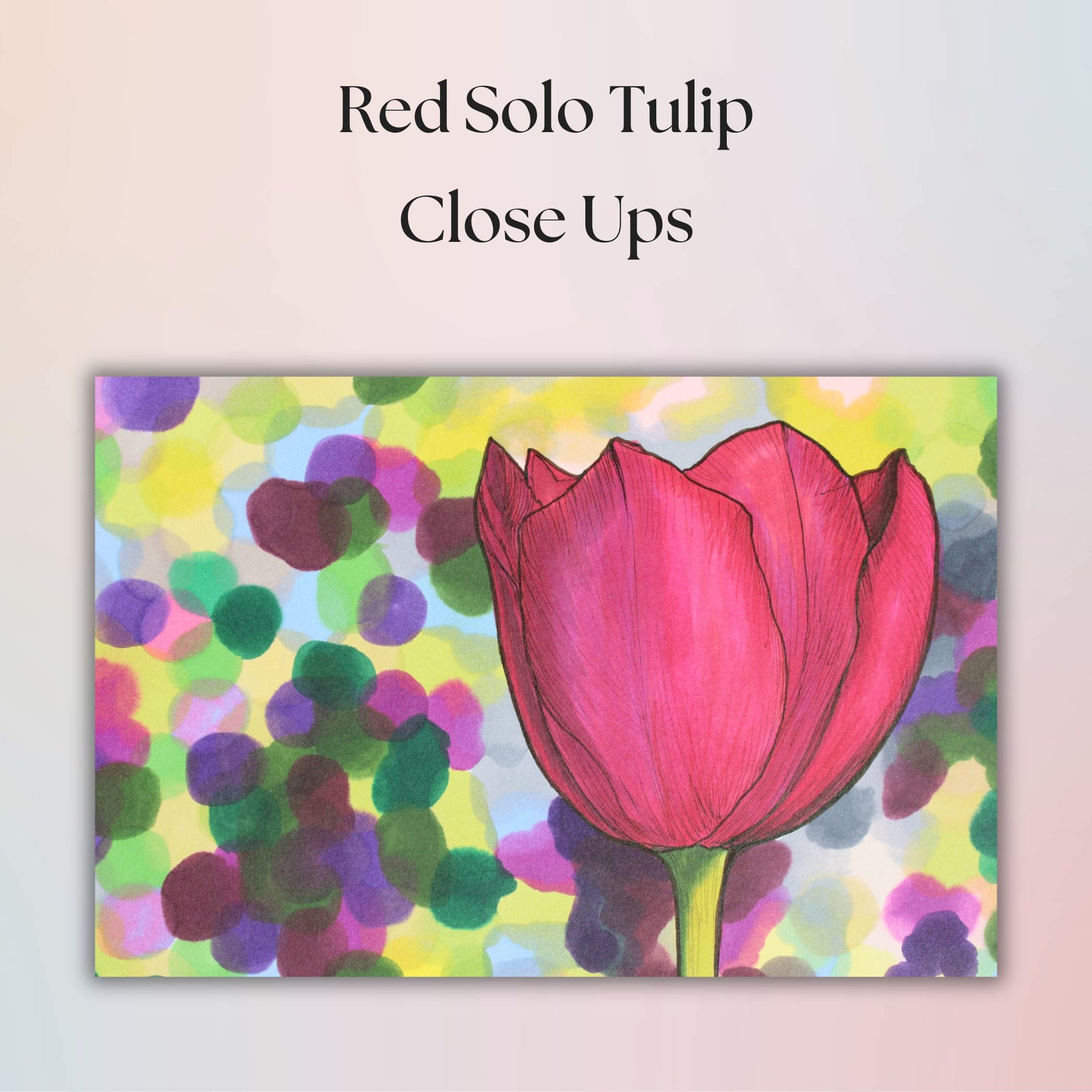 Red tulip with colorful abstract background and text 'Red Solo Tulip Close Ups'.