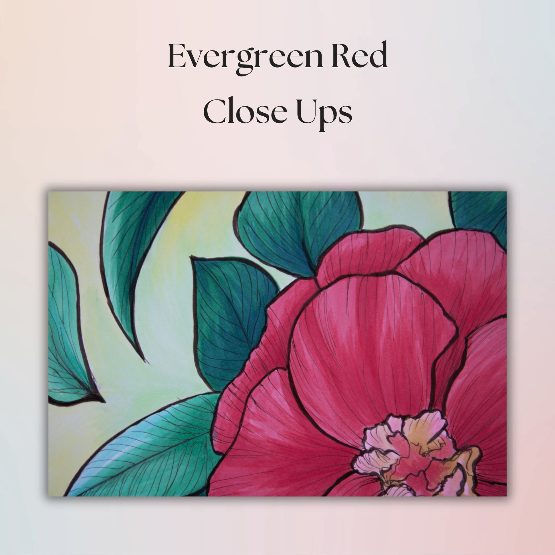 Close-up of a reddish pink flower with green leaves on a light background, labeled 'Evergreen Red Close Ups'.