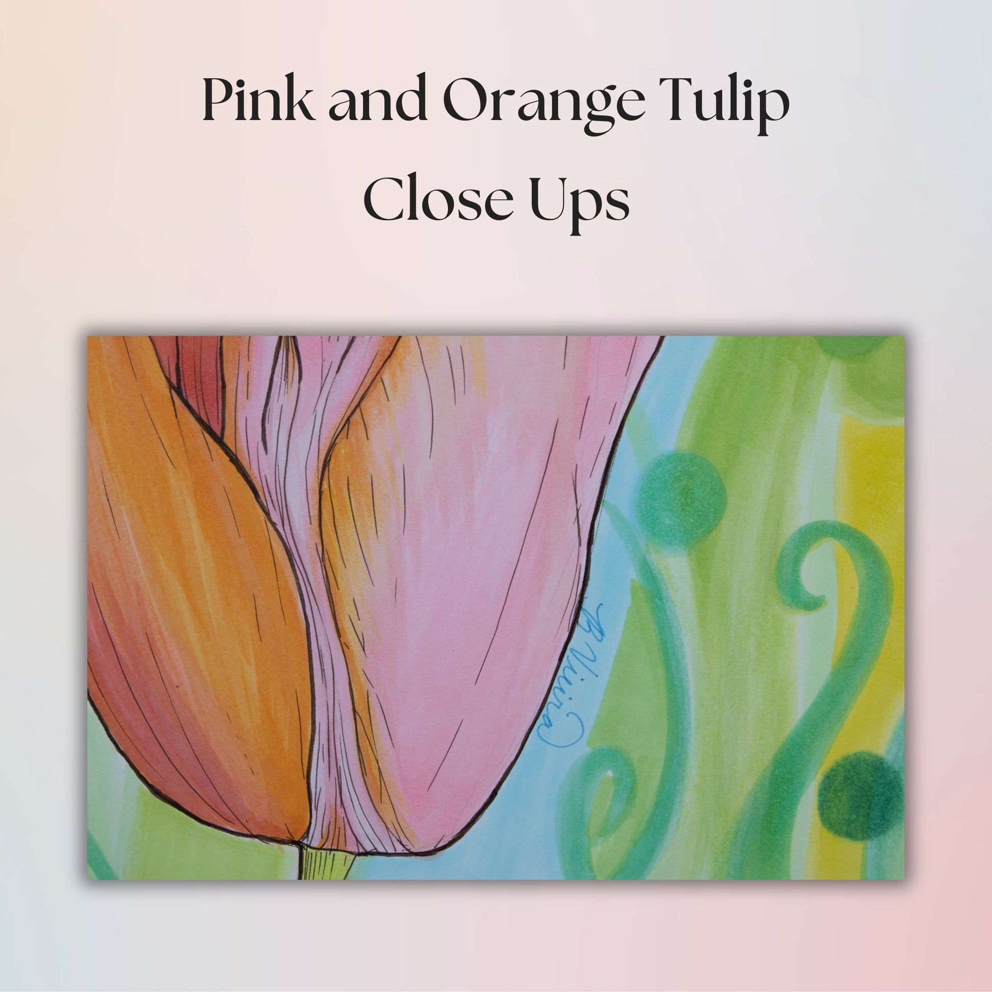 Close-up illustration of a pink and orange tulip with green leaves on a light pink background.