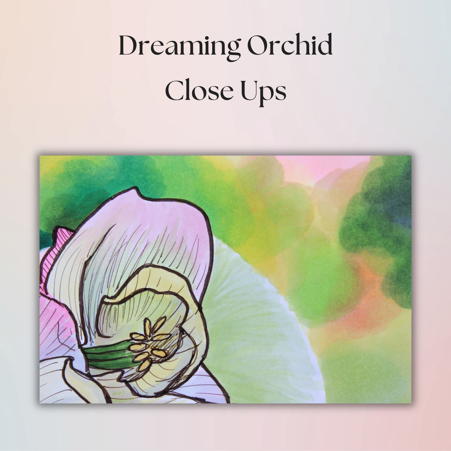 Dreaming Orchid Drawing - 9" x 12" Original Marker Artwork