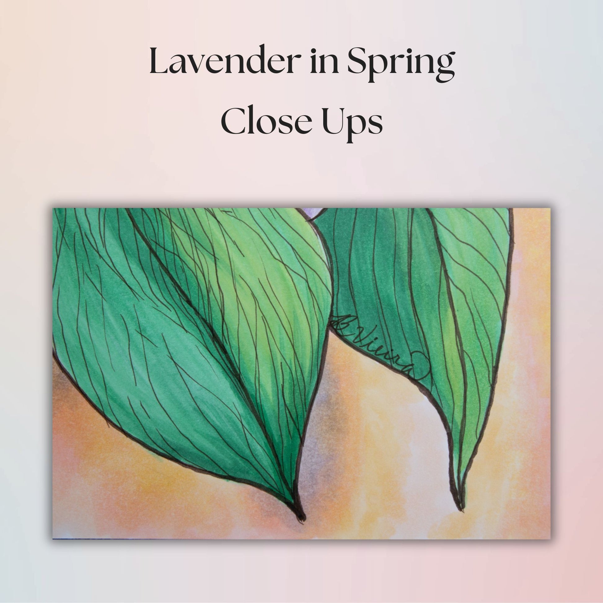 Close-up of green leaves with 'Lavender in Spring Close Ups' text on a light background