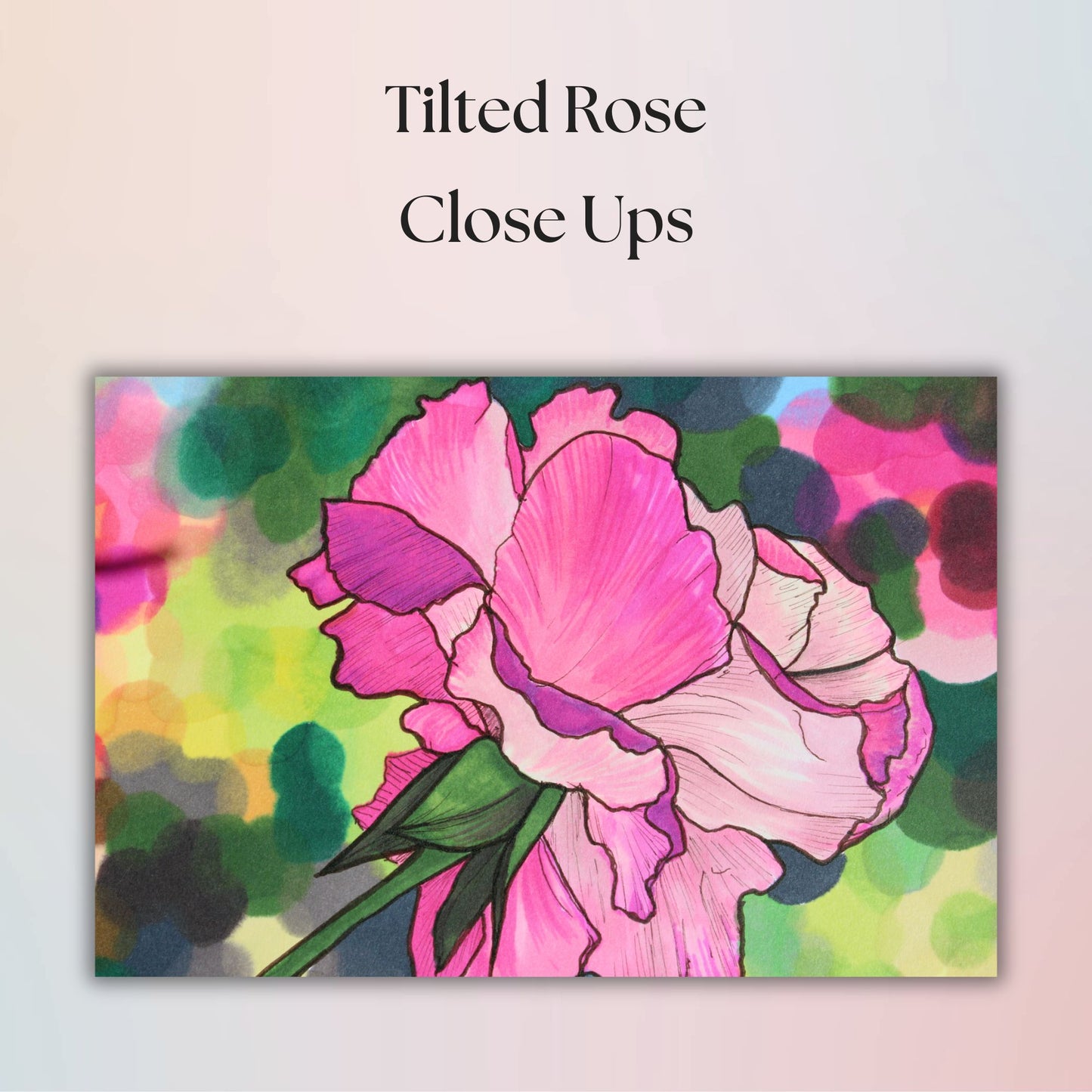 Artistic depiction of a pink rose with a colorful abstract background and text 'Tilted Rose Close Ups'.