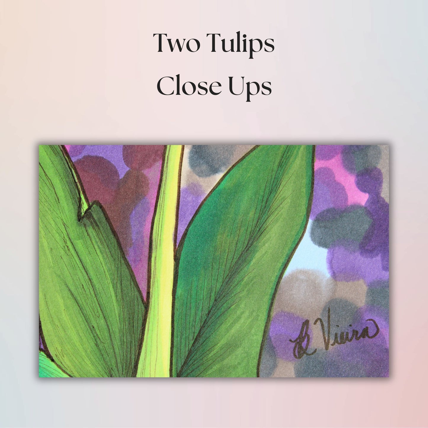 Artistic depiction of two tulips with a colorful abstract background, signed by B. Vieira.
