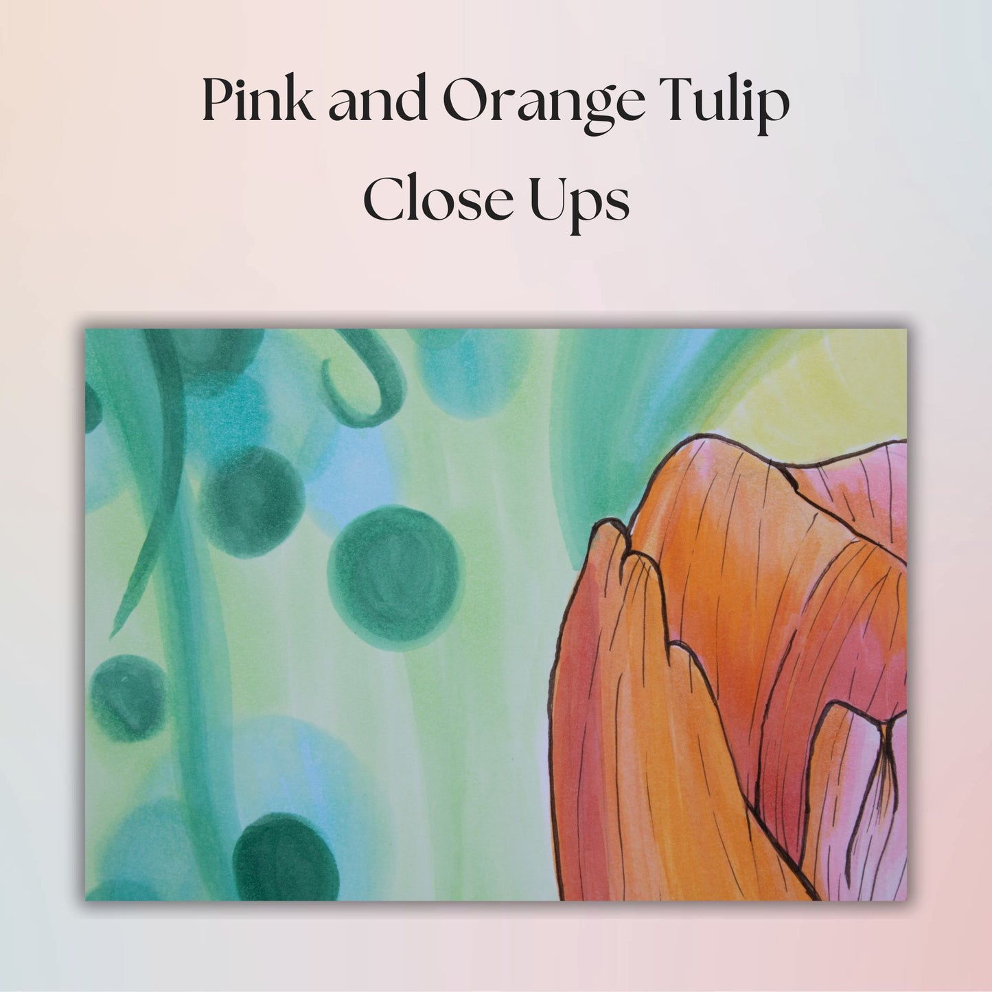 Close-up of a pink and orange tulip with green leaves on a light pink background.