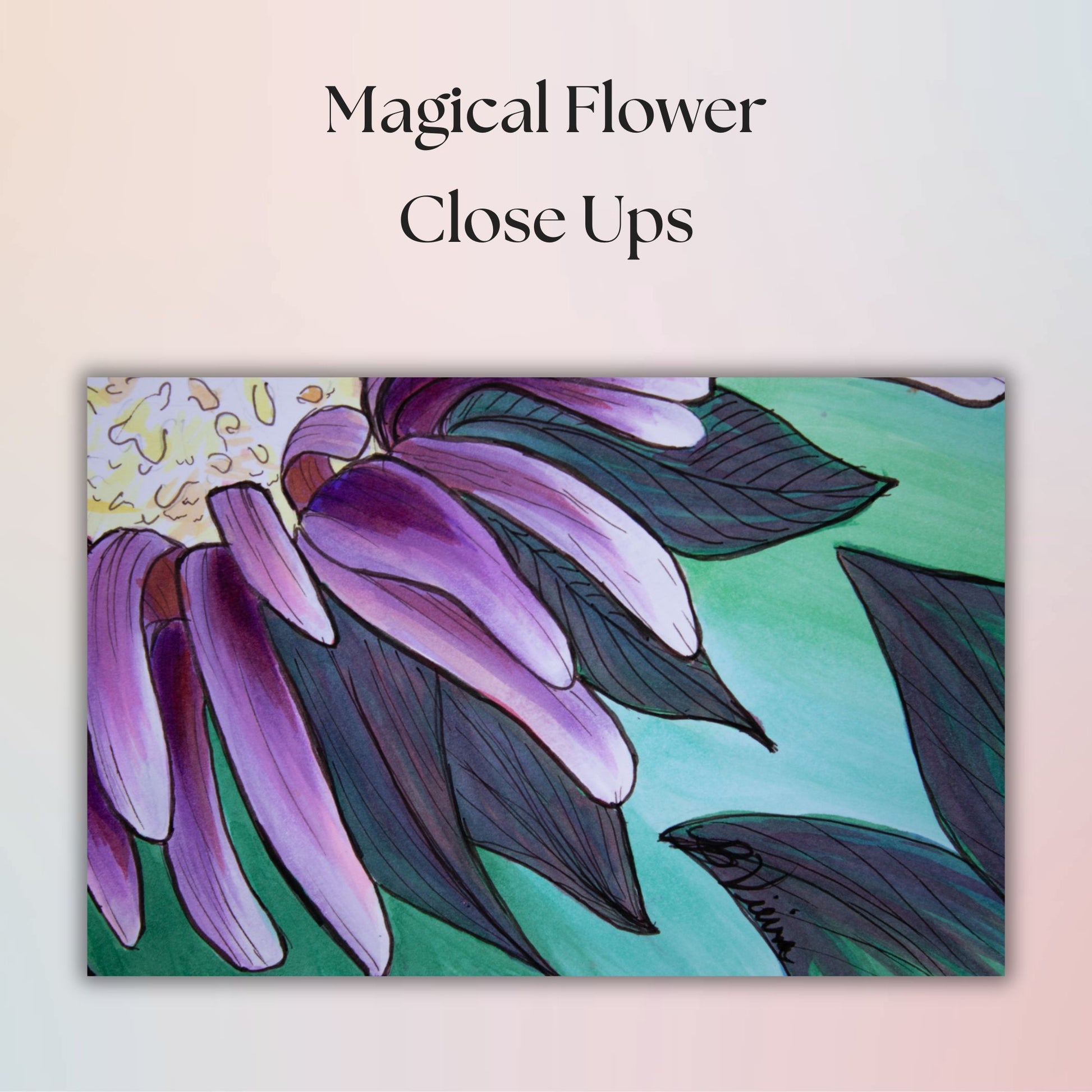 Close-up of a stylized purple flower with green leaves on a light pink background, labeled 'Magical Flower Close Ups'.