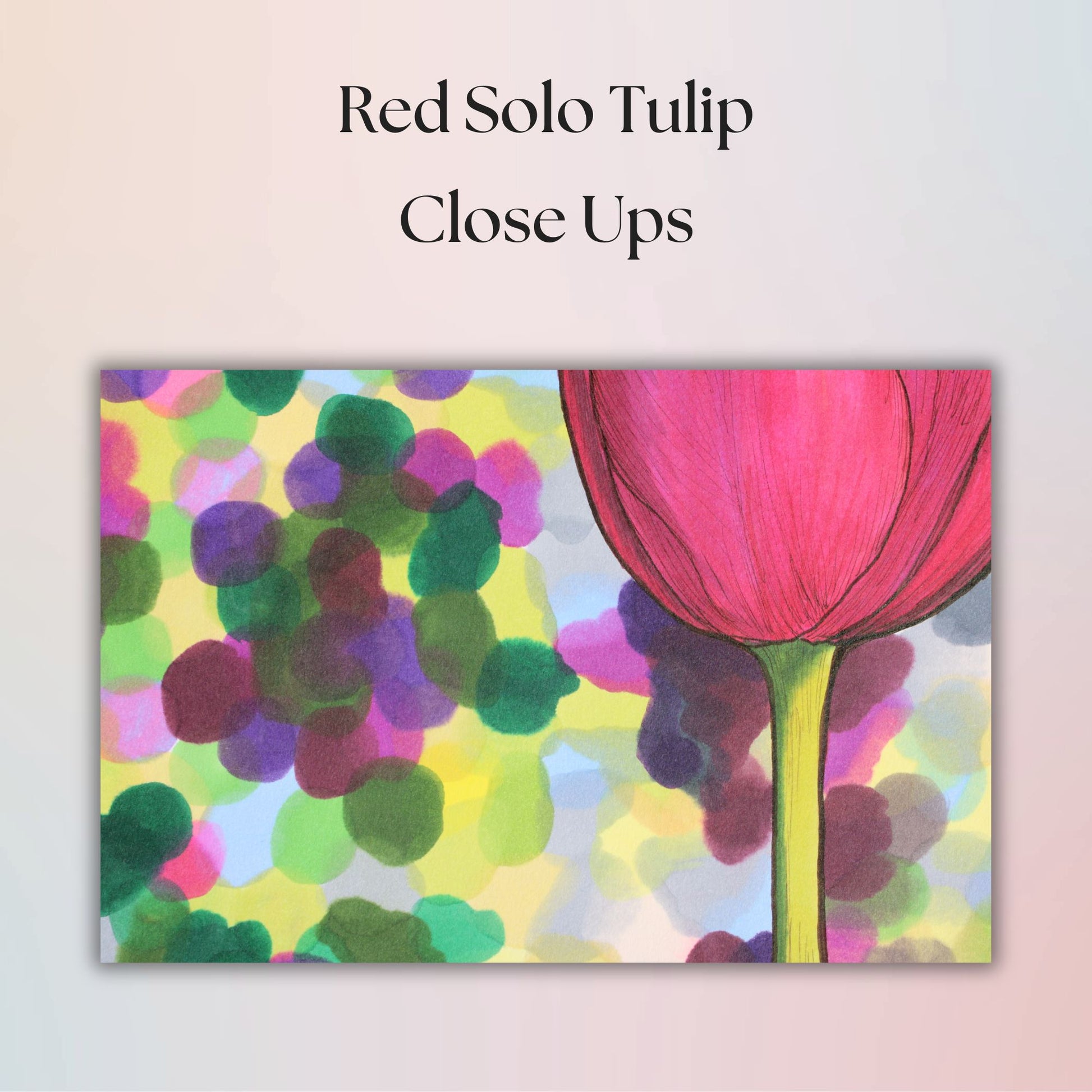 Artistic depiction of a red tulip with colorful background