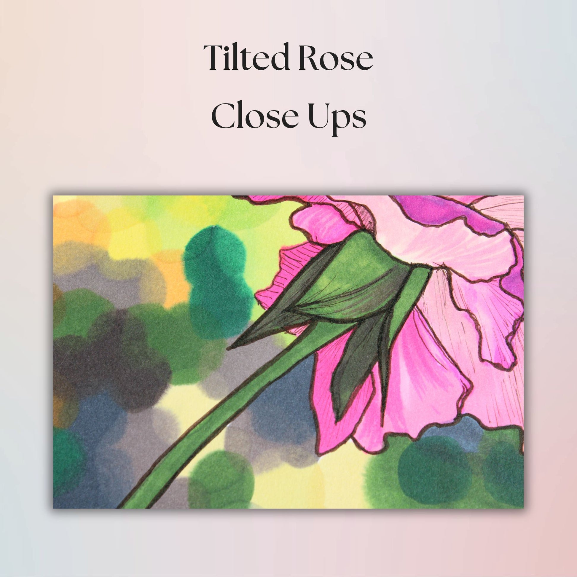 Artistic depiction of a pink rose with green leaves on a colorful abstract background, labeled 'Tilted Rose Close Ups'.