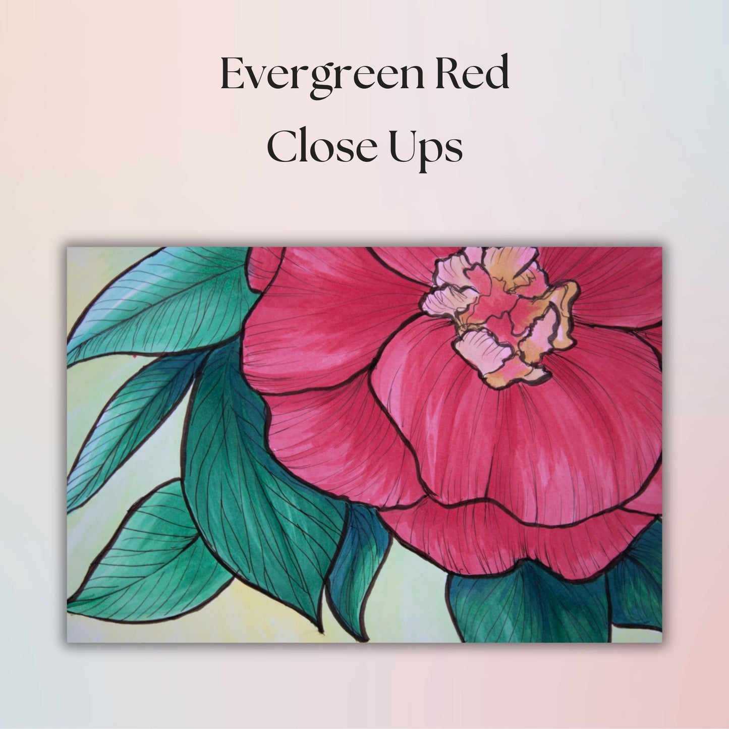 Close-up of a reddish pink flower with green leaves on a light background, labeled 'Evergreen Red Close Ups'.