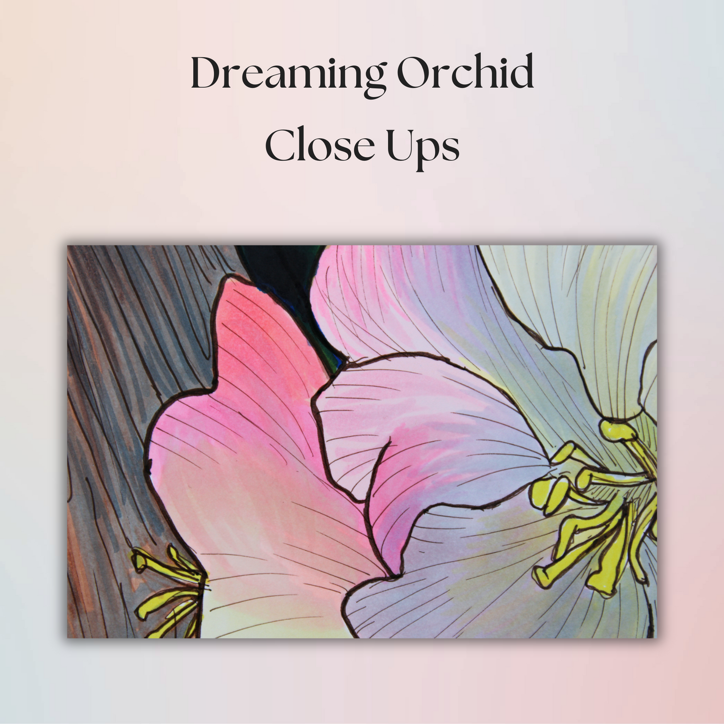 Dreaming Orchid Drawing - 9" x 12" Original Marker Artwork