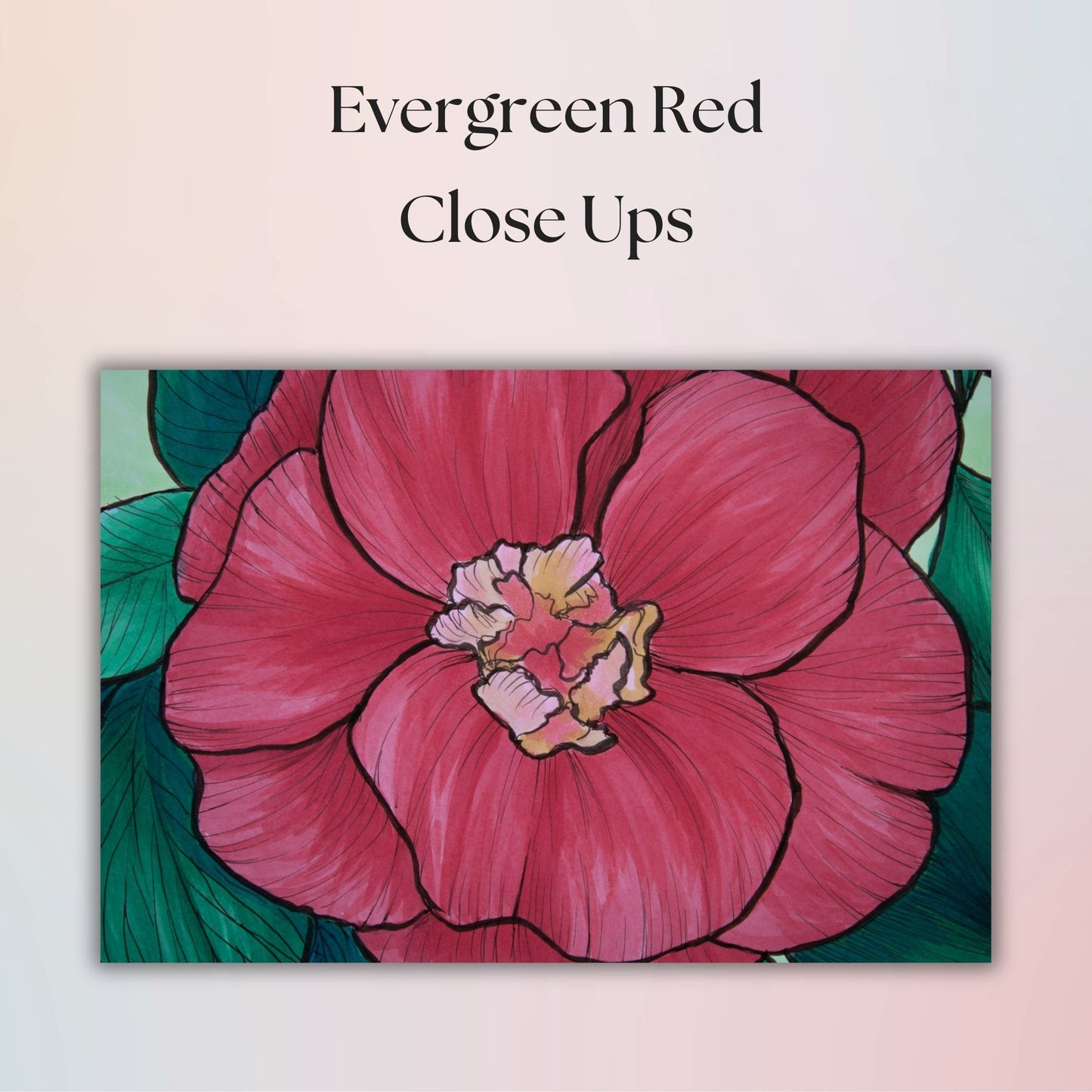 Close-up of a reddish pink flower with green leaves on a light pink background, labeled 'Evergreen Red Close Ups'.