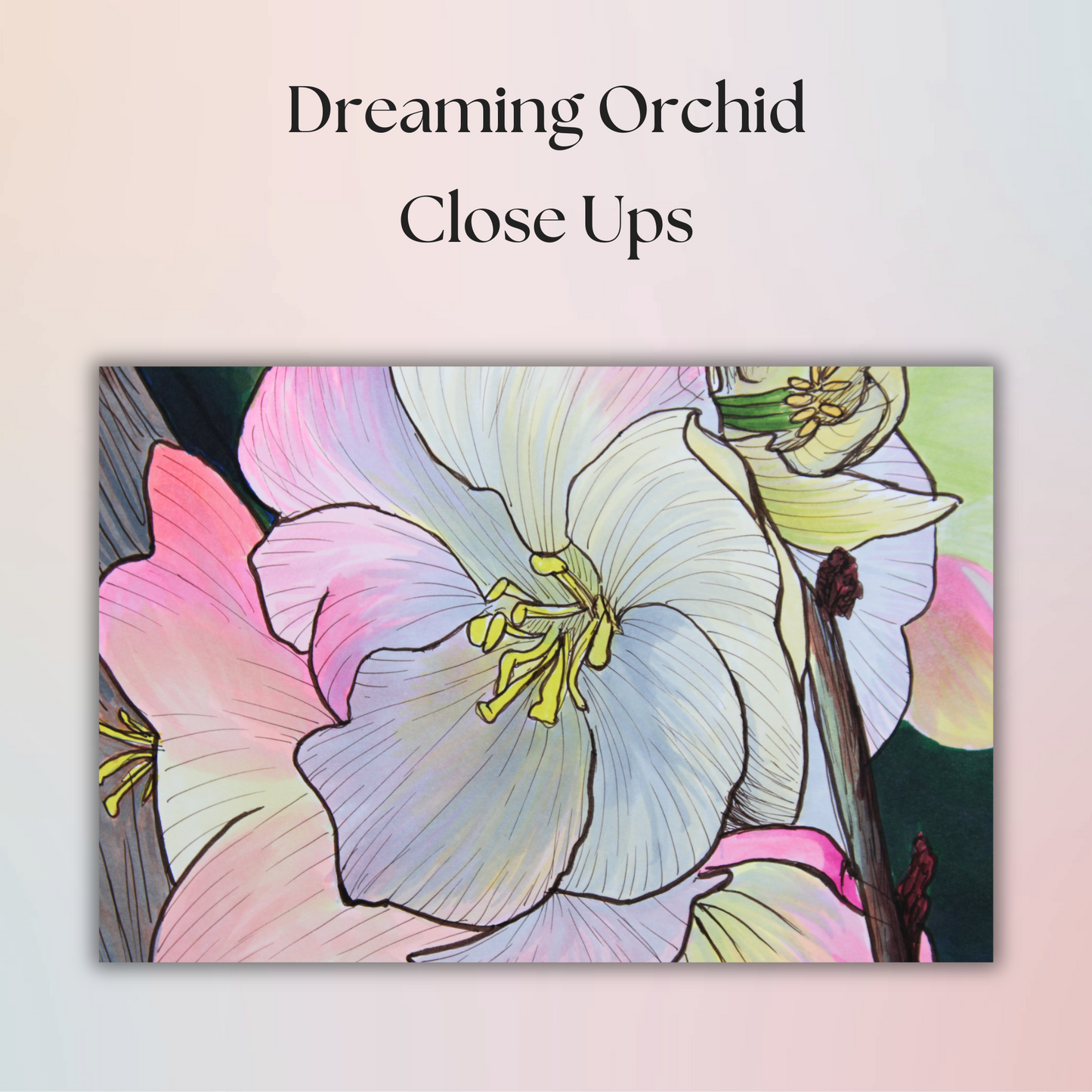 Dreaming Orchid Drawing - 9" x 12" Original Marker Artwork