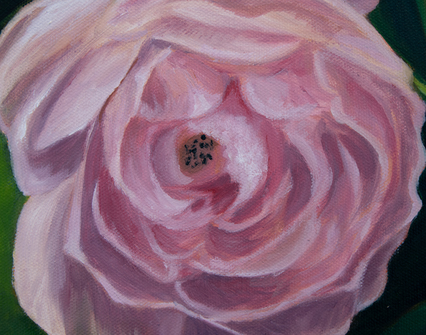 Close-up of a pink rose with a green background