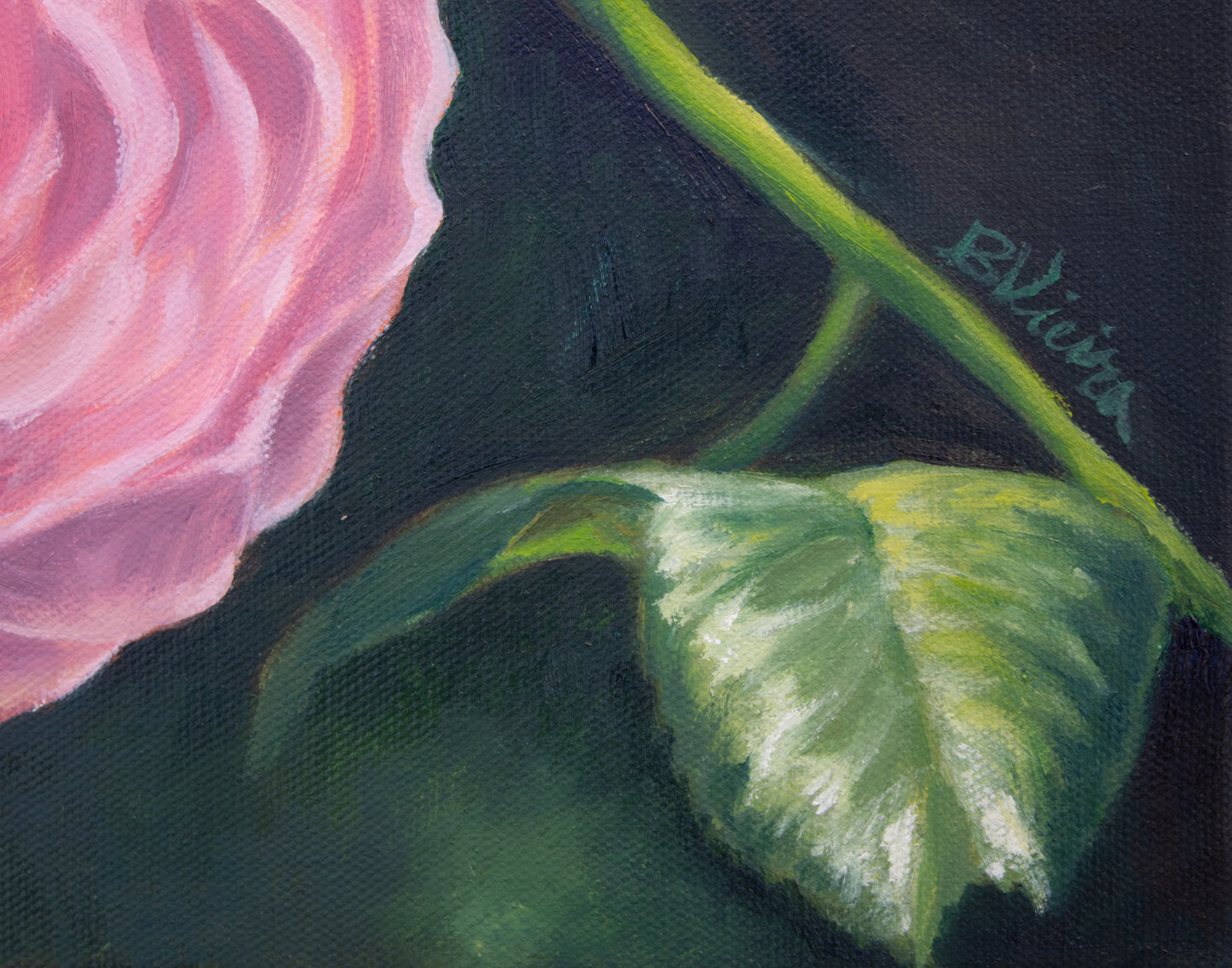 Close-up of a pink rose with a green leaf on a dark background, signed 'B. Vieira'.