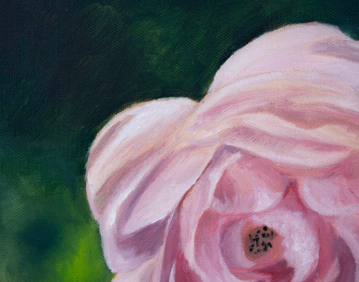 Close-up of a pink flower with a dark green background