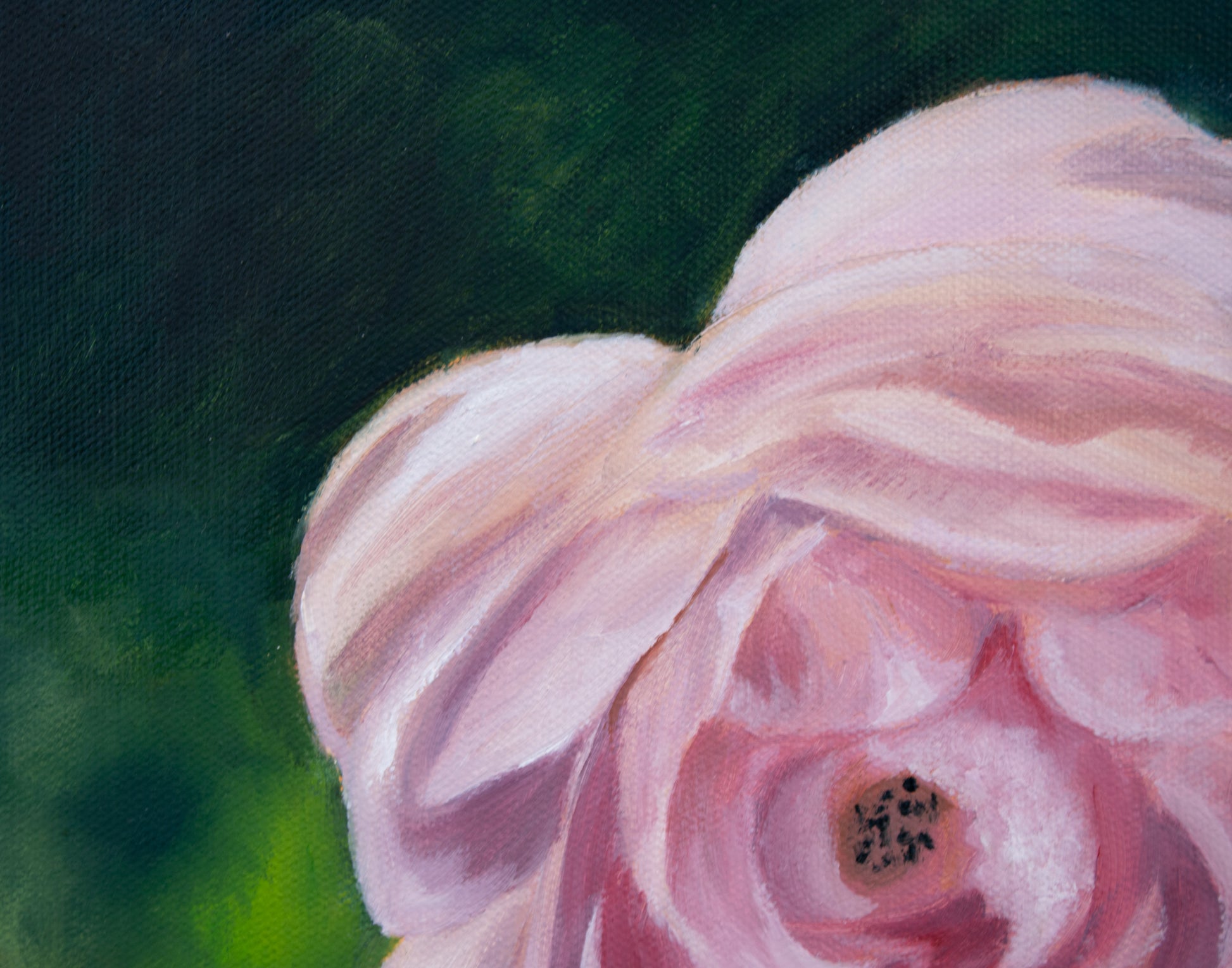 Close-up of a pink flower with a dark green background