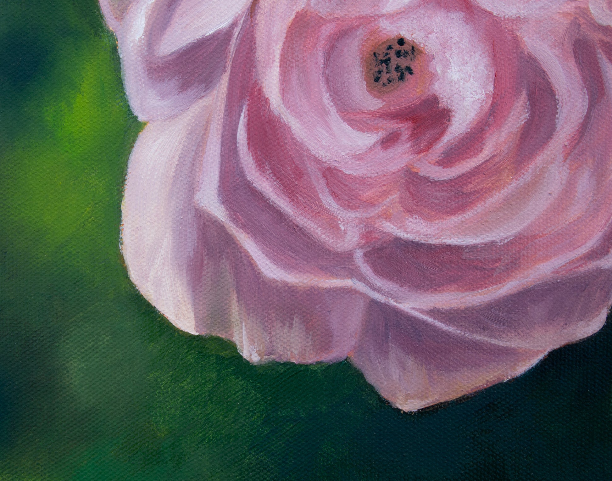 Close-up of a pink rose with a green background painting