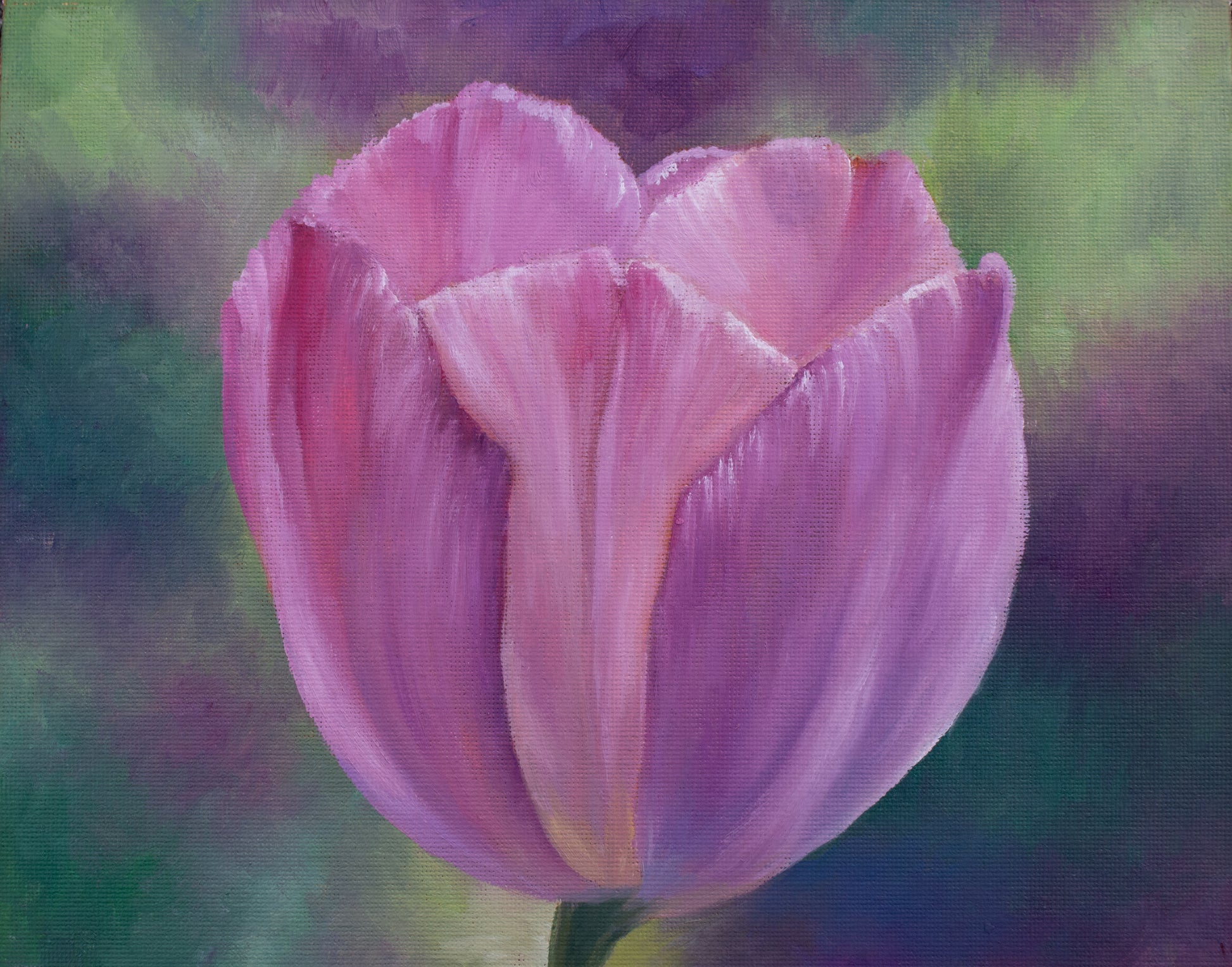 Painting of a pink tulip with a colorful background
