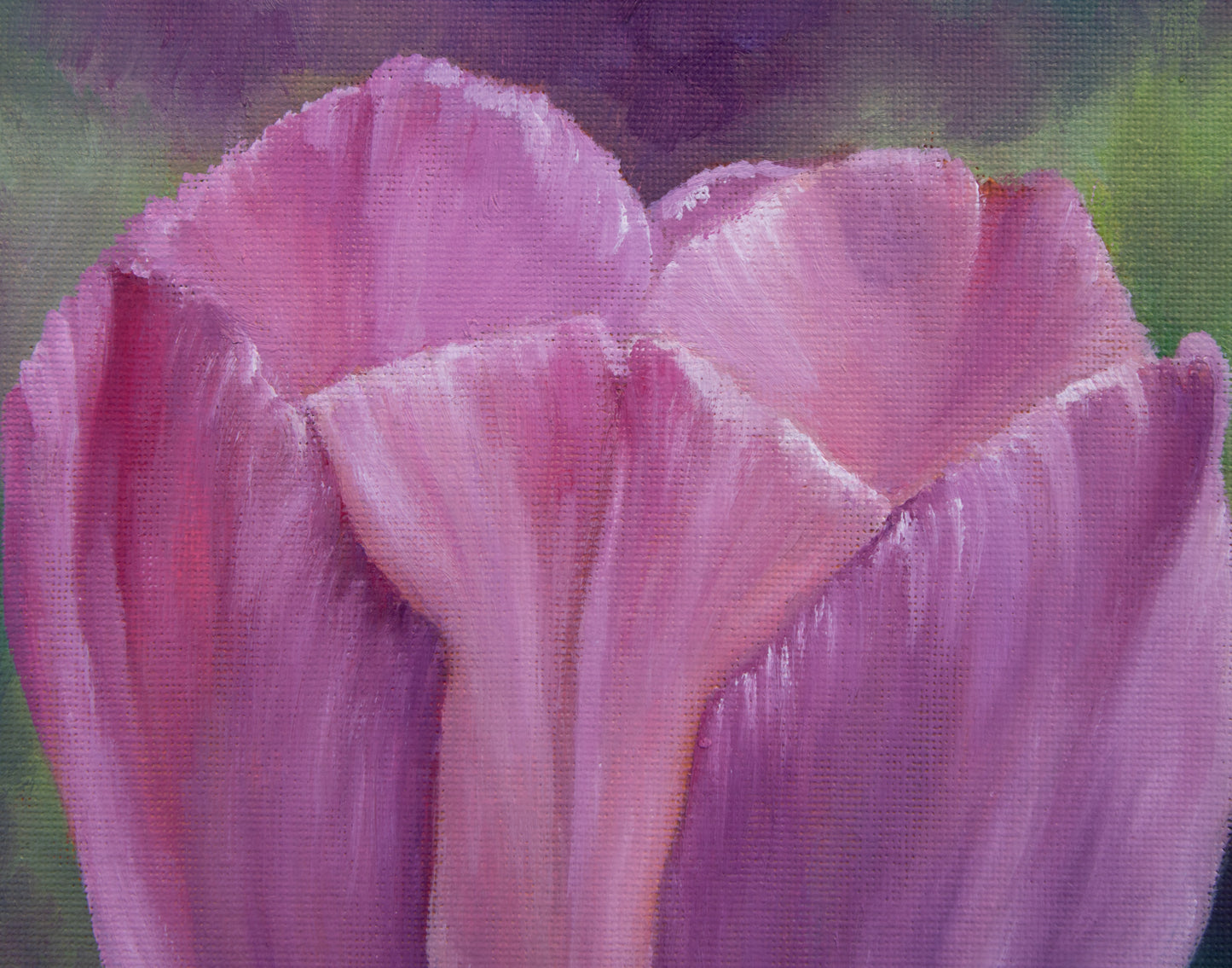 Close-up of a pink tulip with a soft focus background