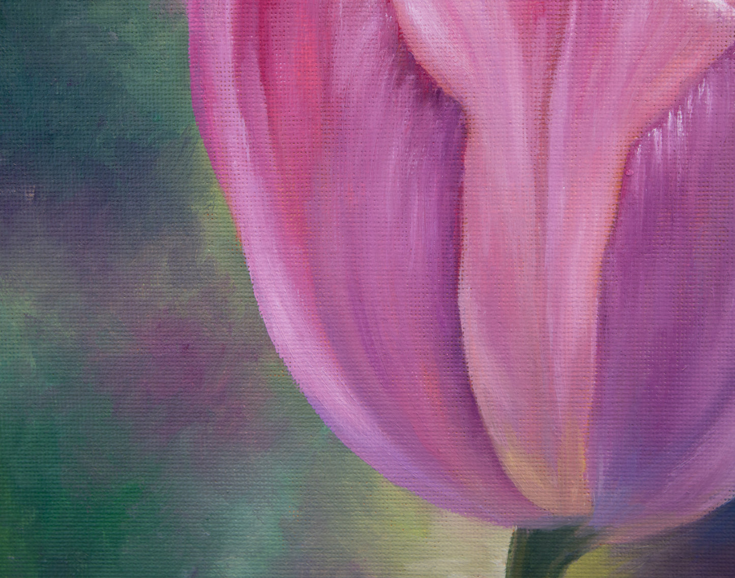 Close-up of a pink tulip with a blurred green background
