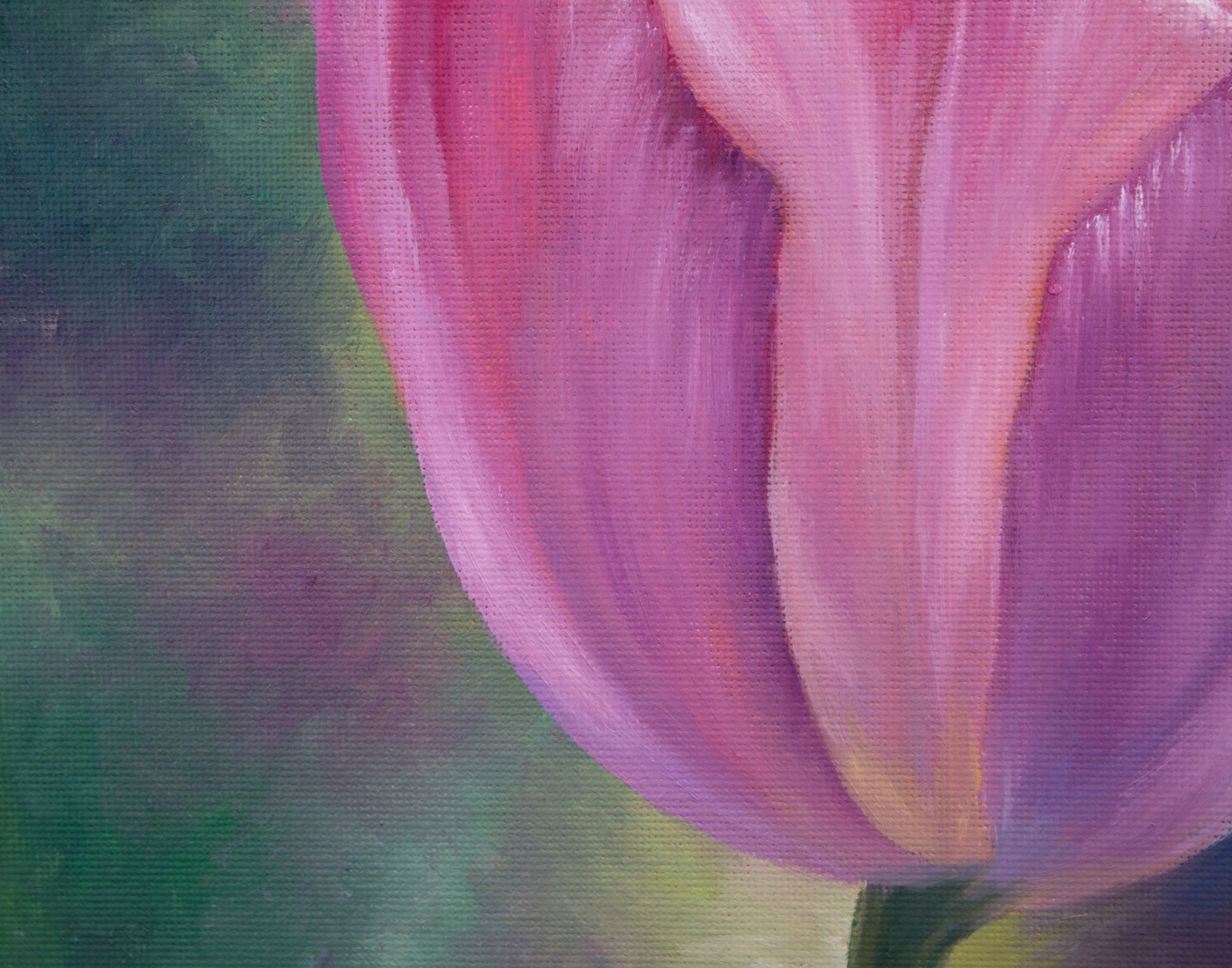 Close-up of a pink tulip with a blurred green background