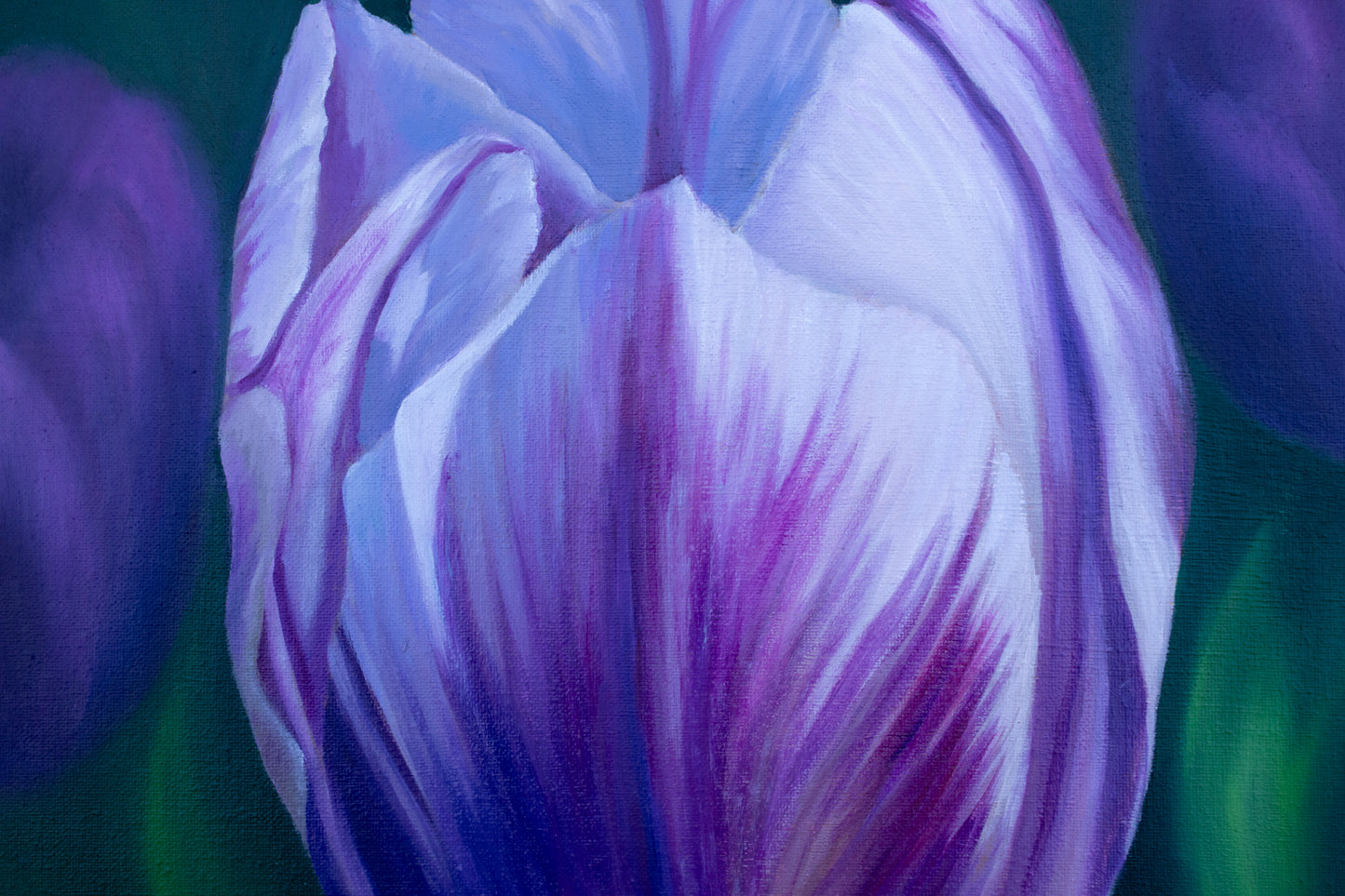 Close-up of a purple tulip with a blurred background