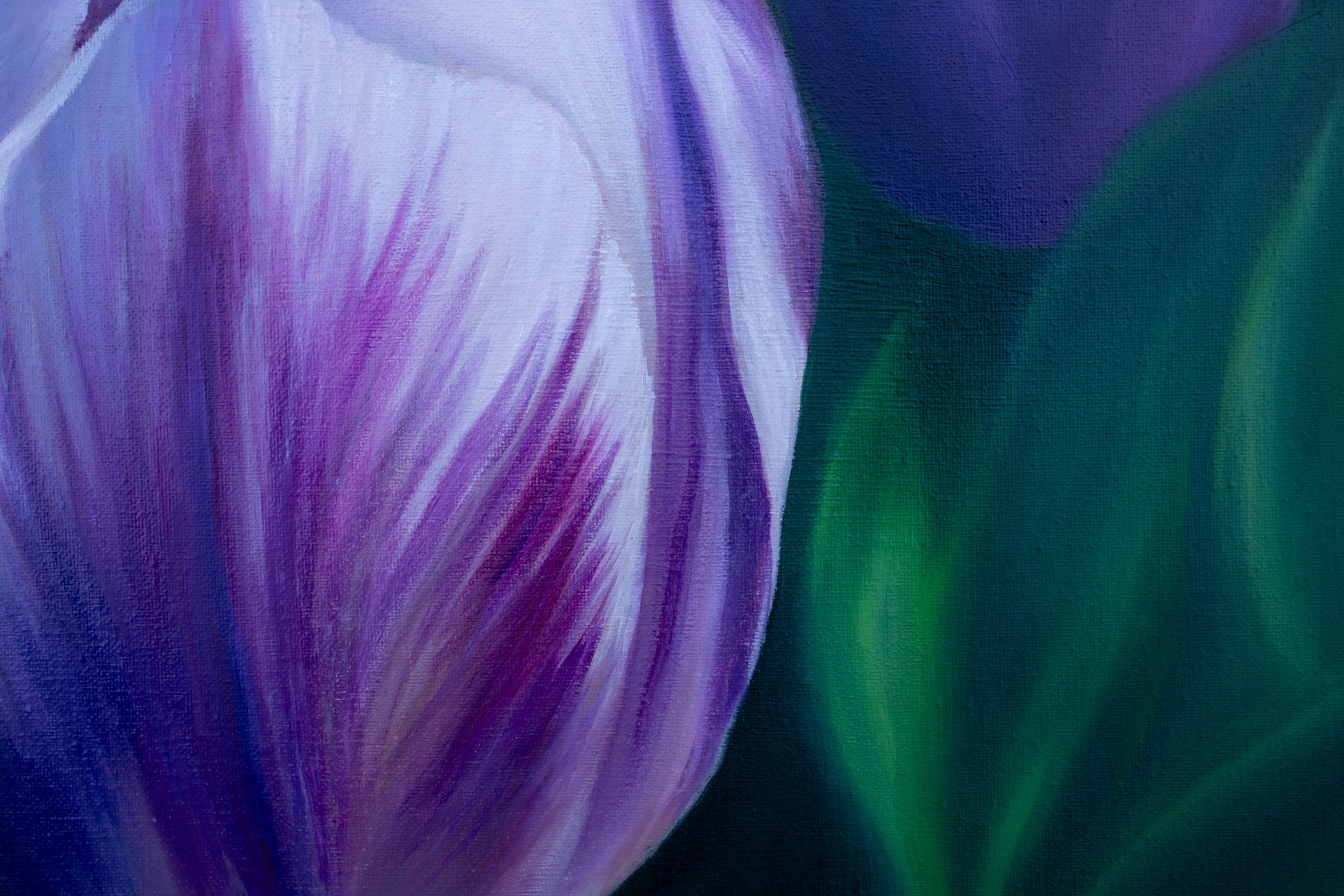 Close-up of a purple tulip with green leaves 