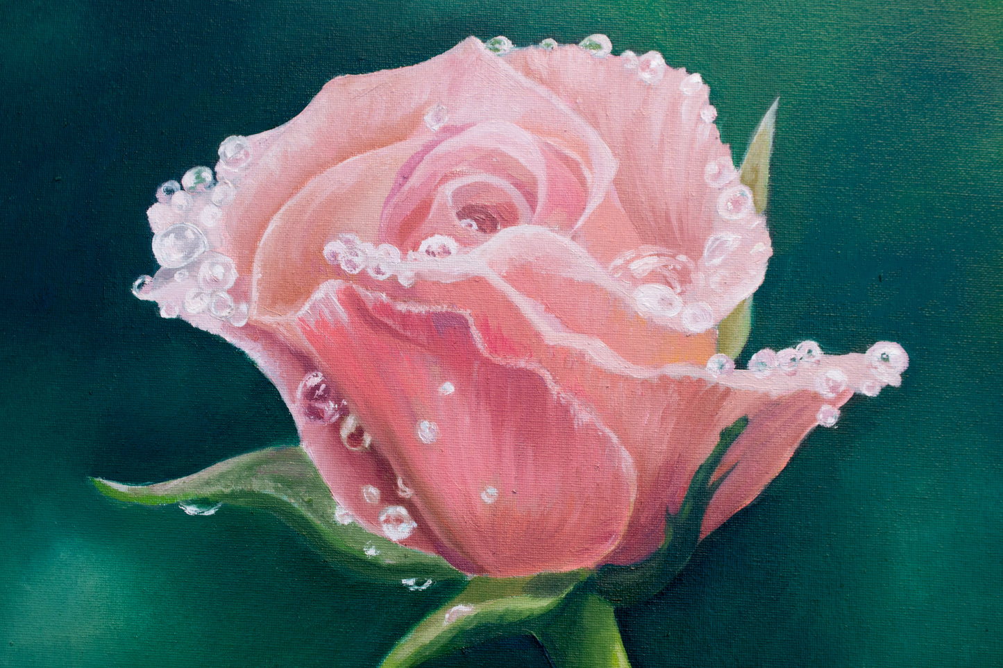 Raindrop Rose Painting Print