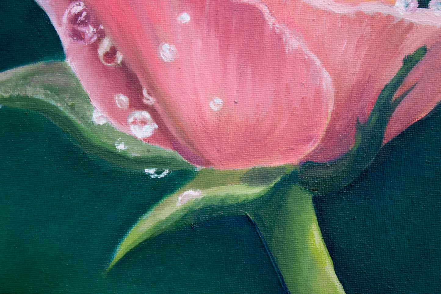 Raindrop Rose Painting Print
