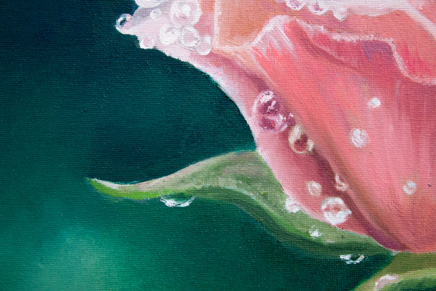 Raindrop Rose Painting Print