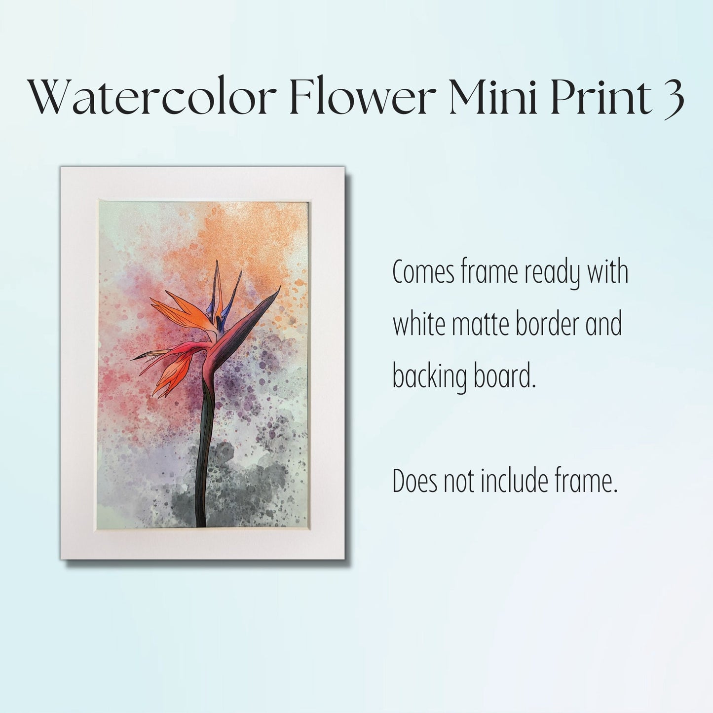 Bird of Paradise Painting Print - 4" x 6" Watercolor Flower