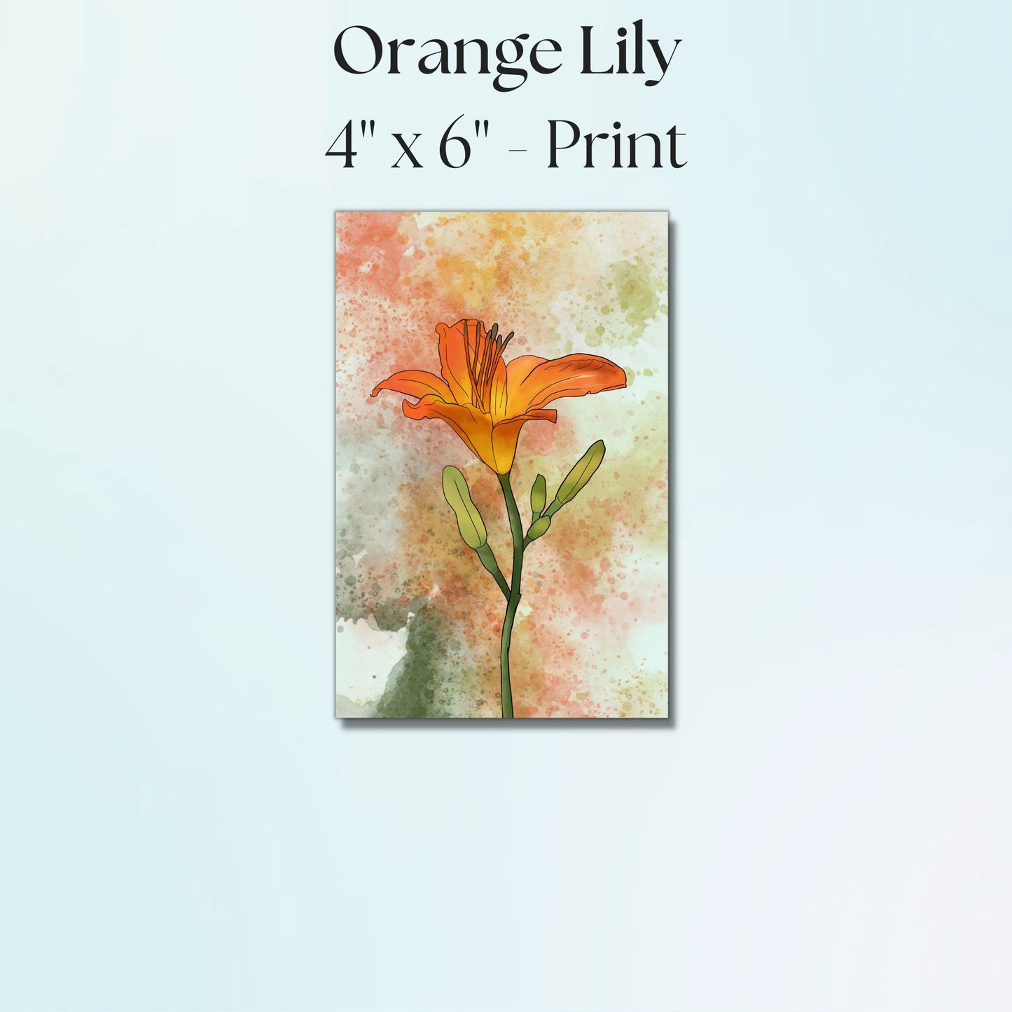 Orange Lily Painting - 4" x 6" Watercolor Flower Print