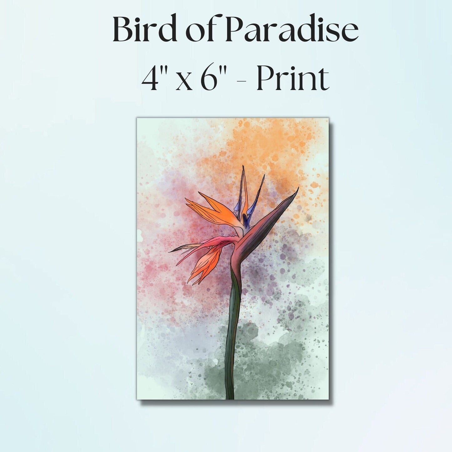 Bird of Paradise Painting Print - 4" x 6" Watercolor Flower