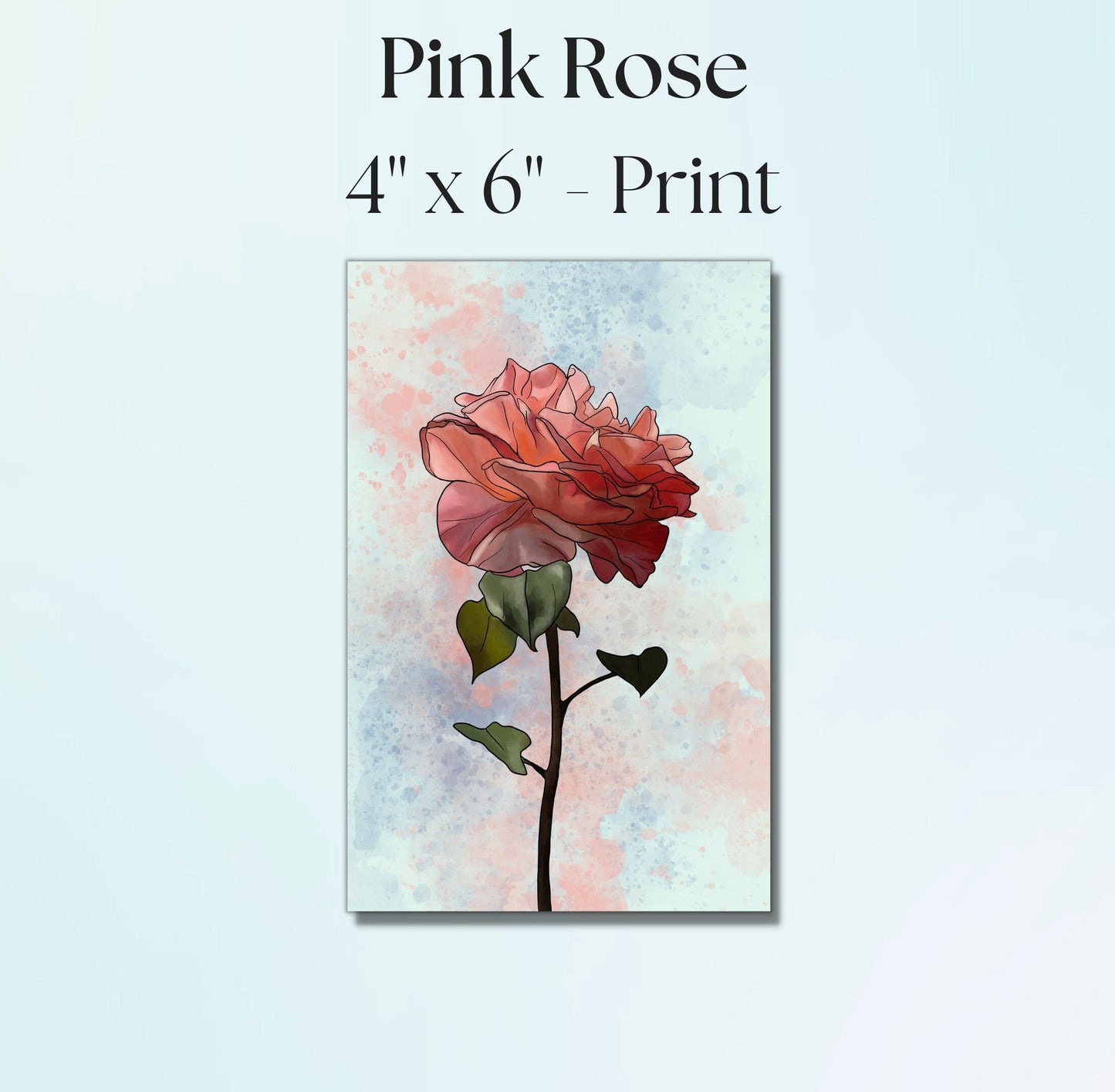 Pink Rose Painting - 4" x 6" Watercolor Flower Print