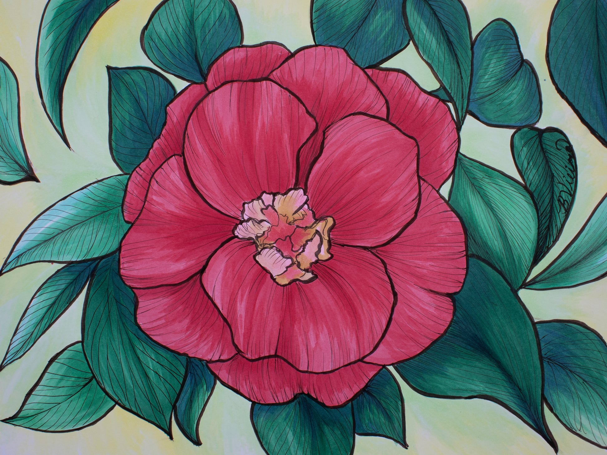Stylized illustration of a red camellia flower with green leaves on a light background